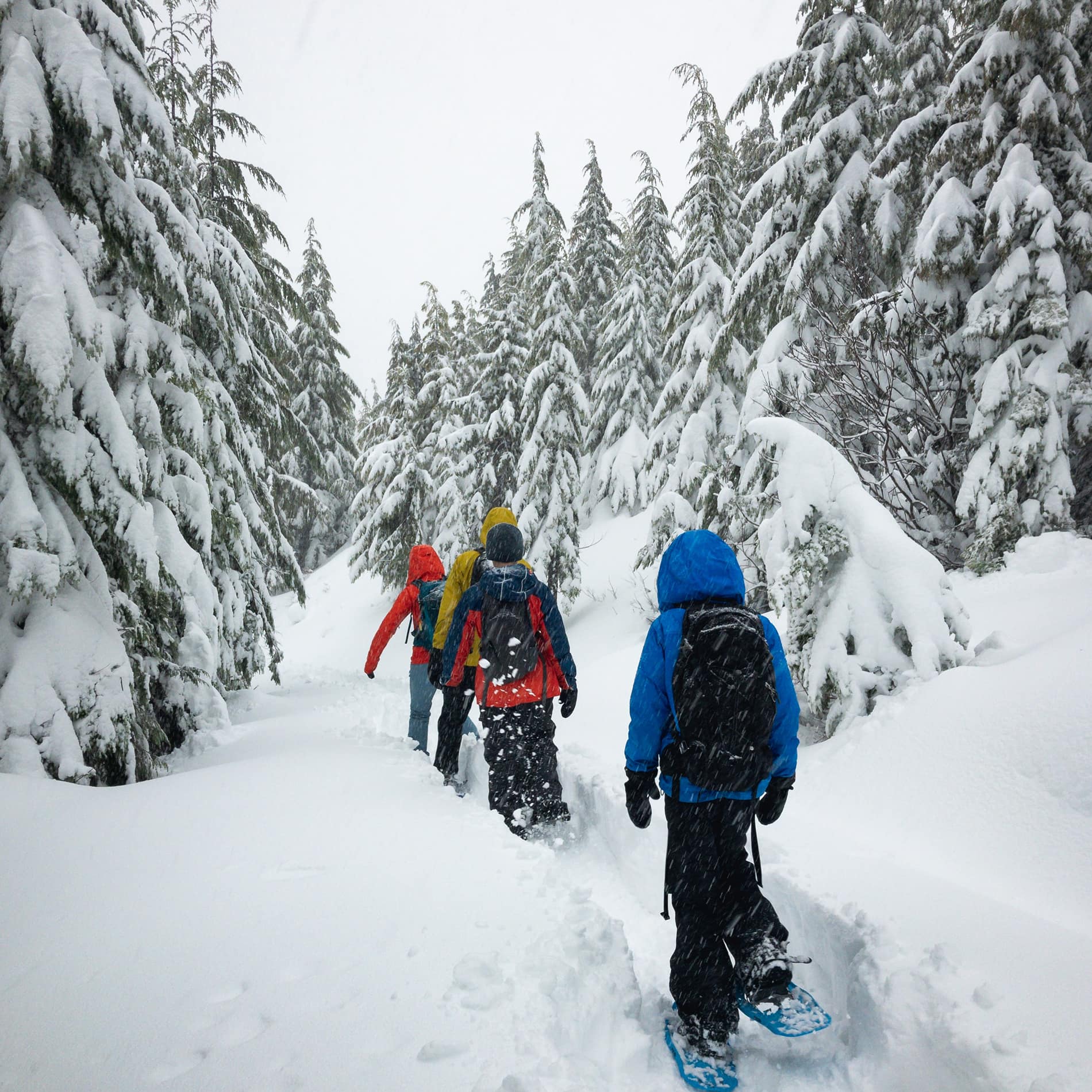 People with snowshoes
