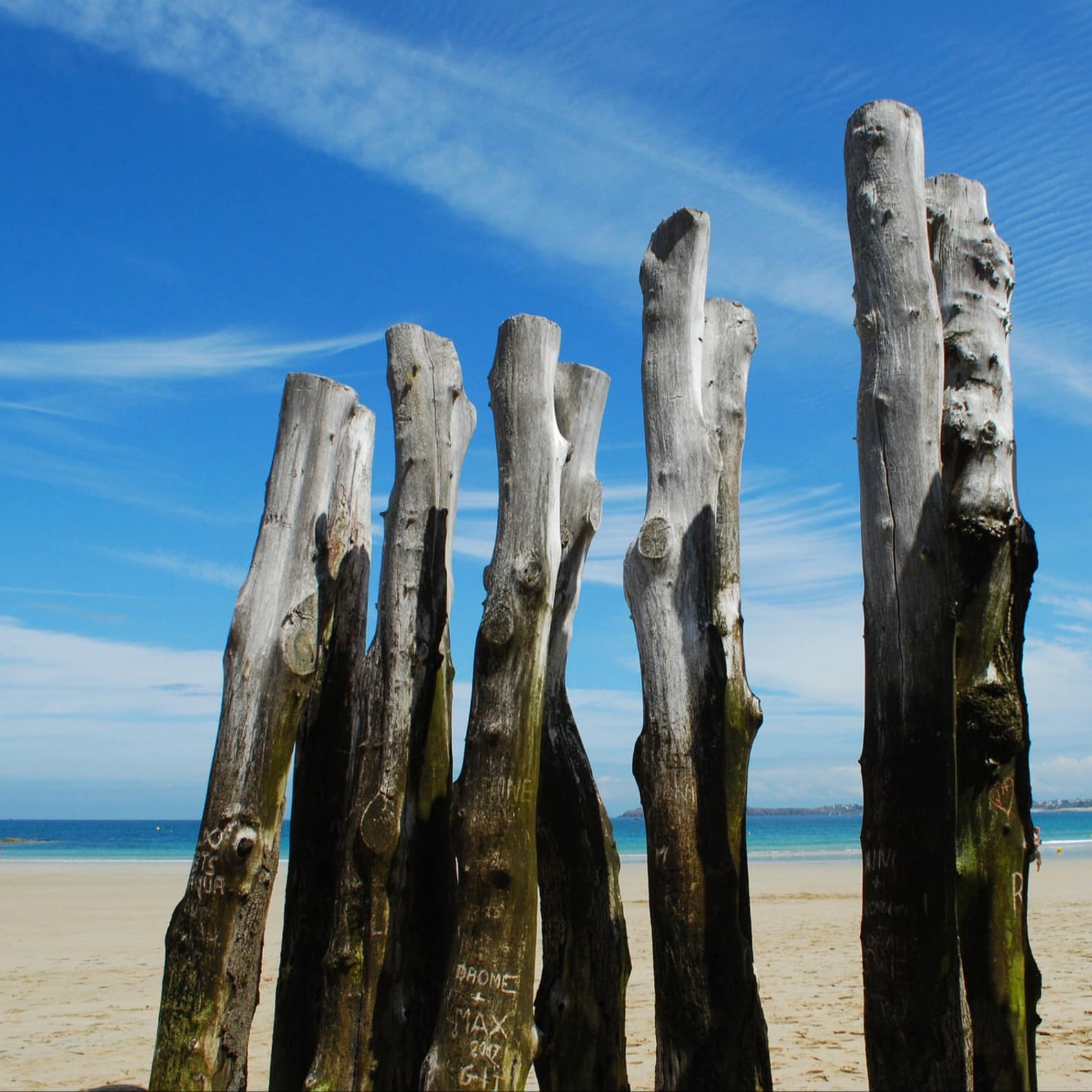 Pieux en bois qui font office de brise-lame sur la plage de Saint-Malo. Ciel bleu.