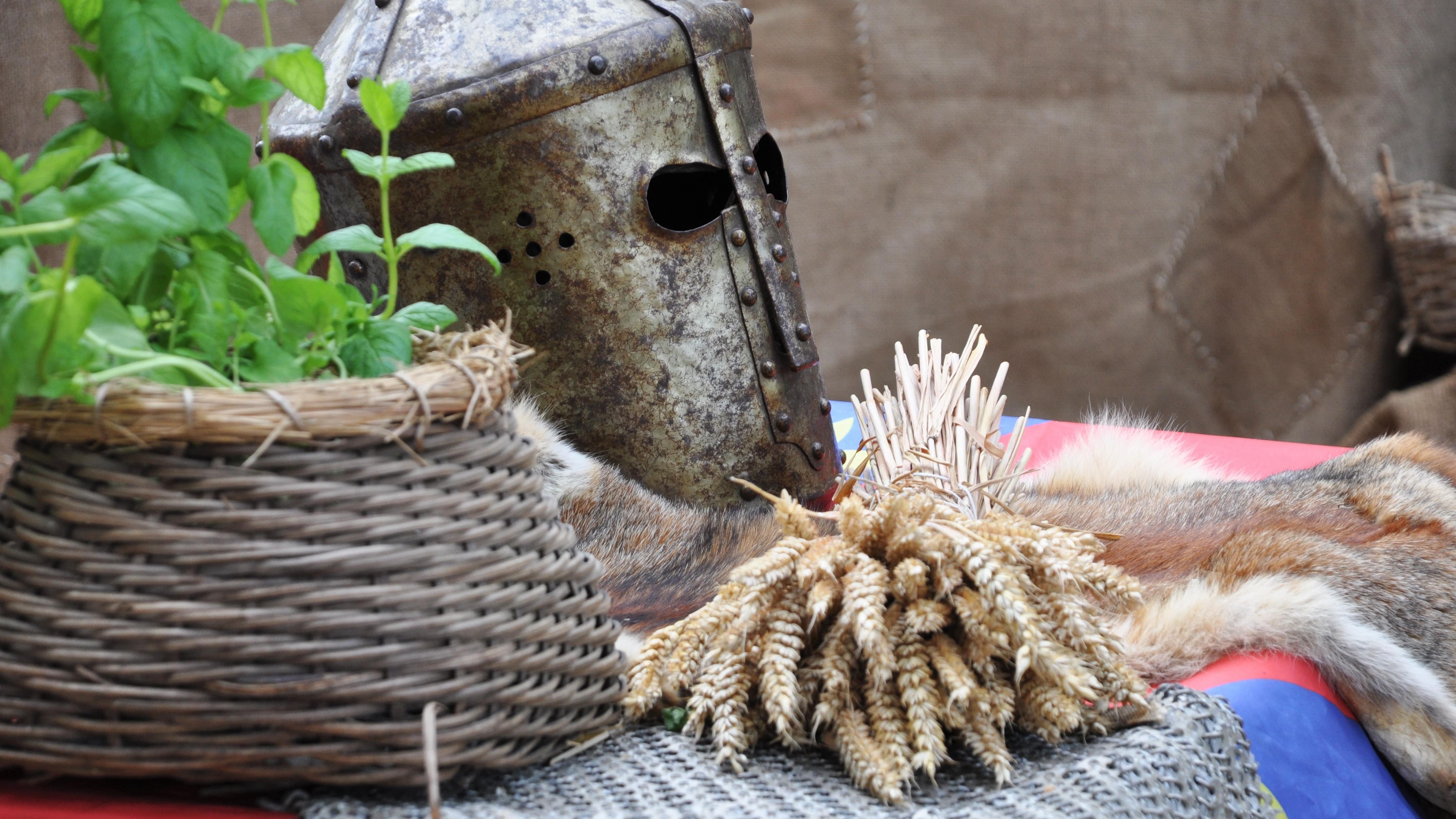 Vue sur une composition comportant quelques objets de style médiéval : une plante verte dans un pot en osier, un bouquet de blés séchés, une cotte de mailles et un casque de chevalier