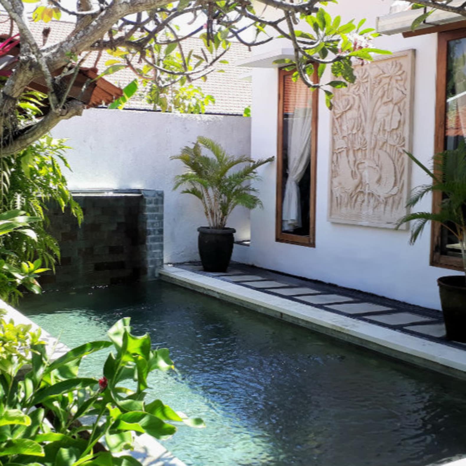 Maison avec piscine privée et plantes vertes, Indonésie, location maison avec piscine