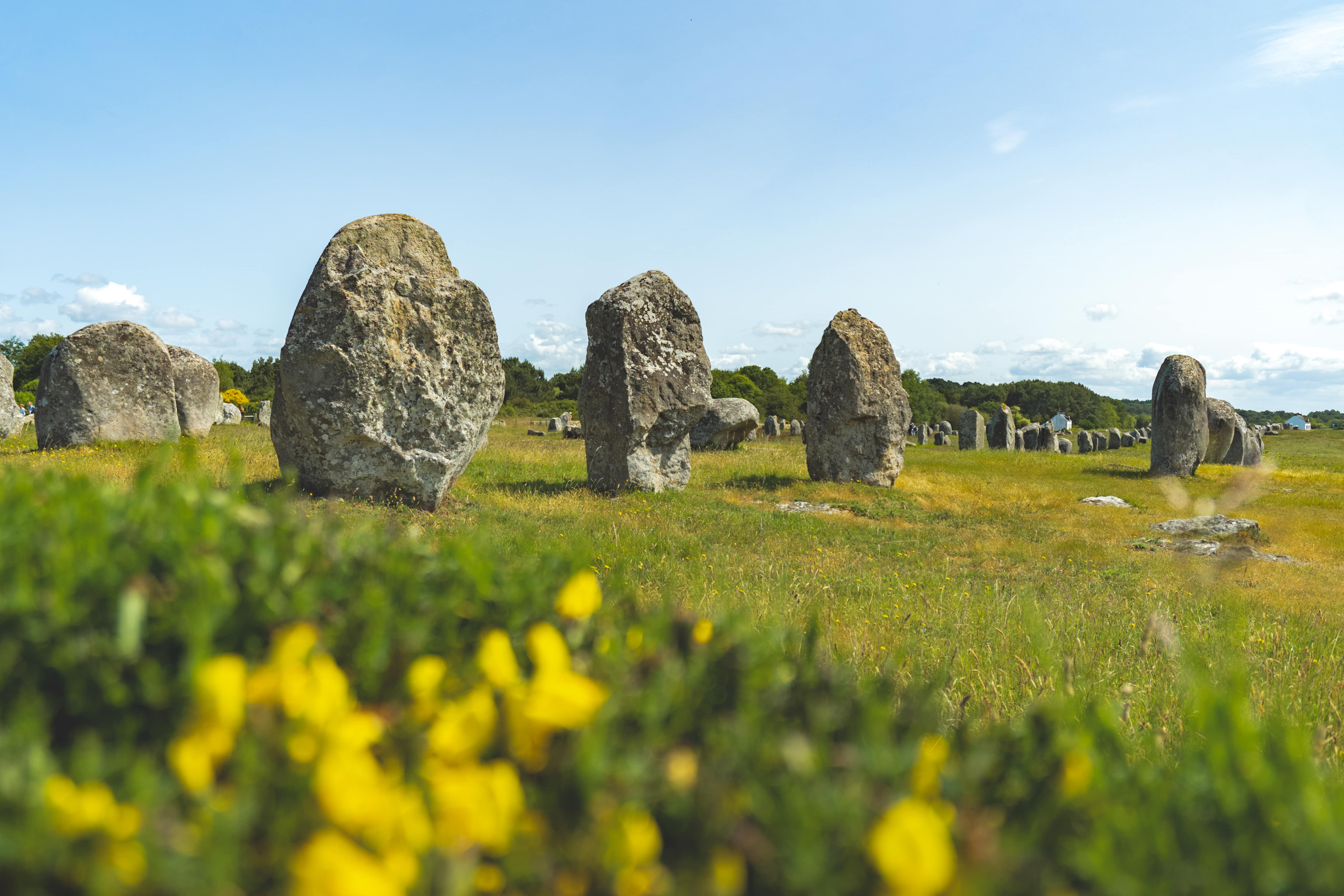 Vue sur un site mégalithique du Morbihan avec fleurs jaunes en avant-plan