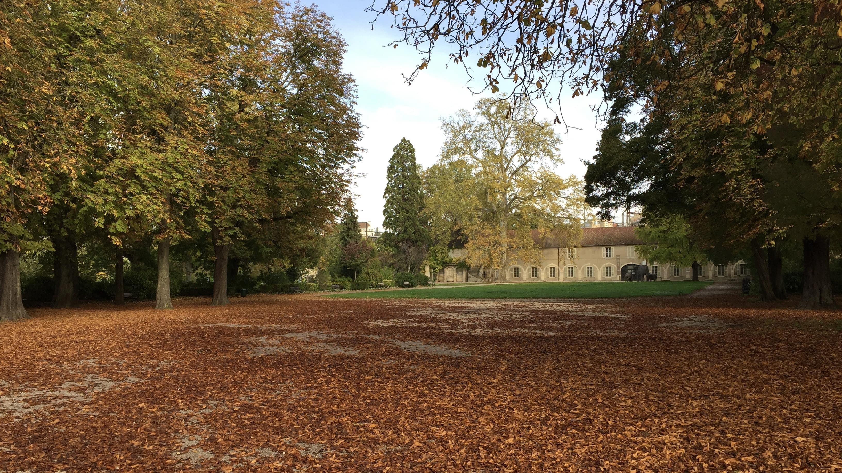 Vue sur le parc de l’Arquebuse et, en arrière-plan, le Muséum d'histoire naturelle