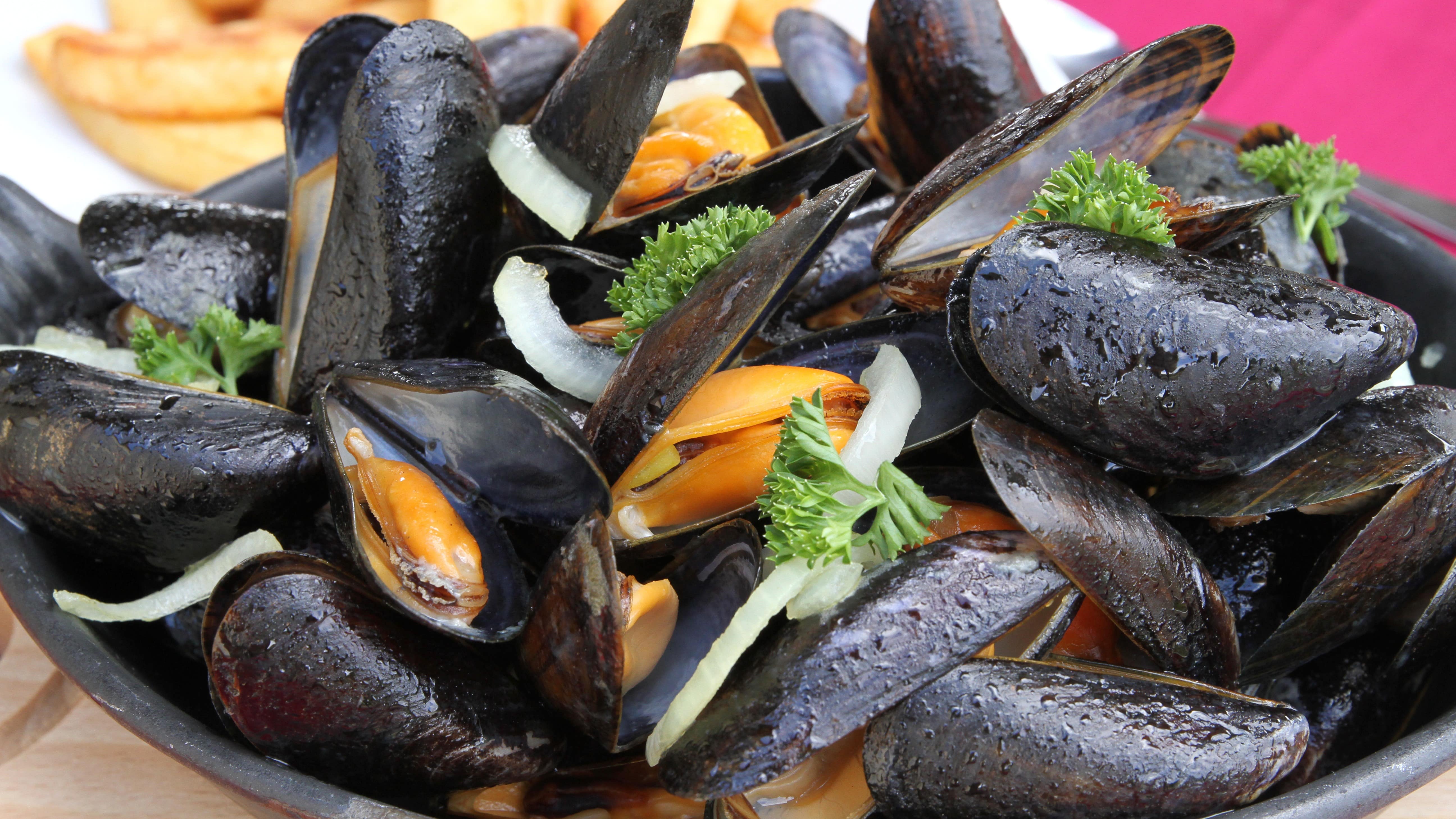Gros plan sur un plat de « moules-frites »