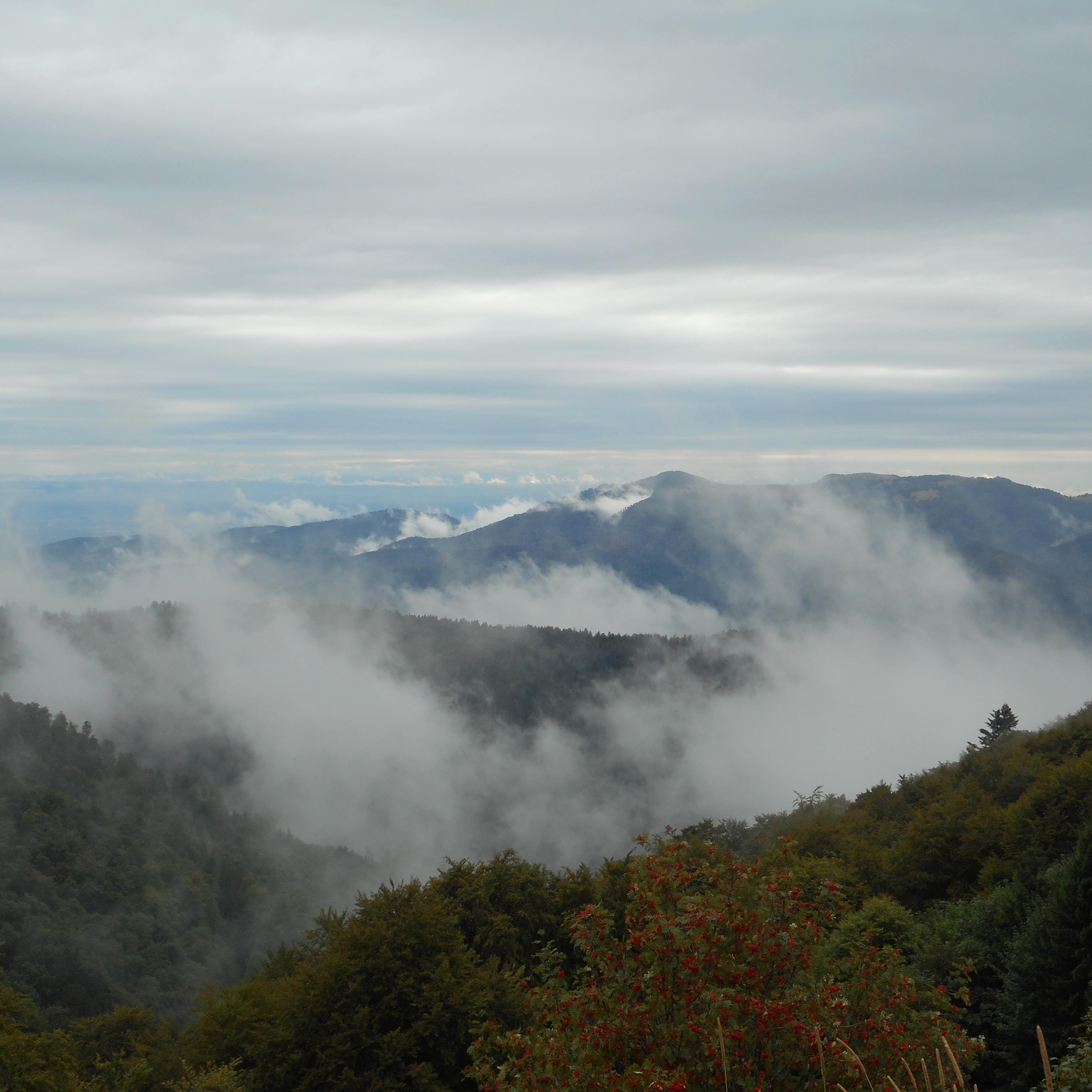 Le Grand Ballon d’Alsace, point culminant des Vosges