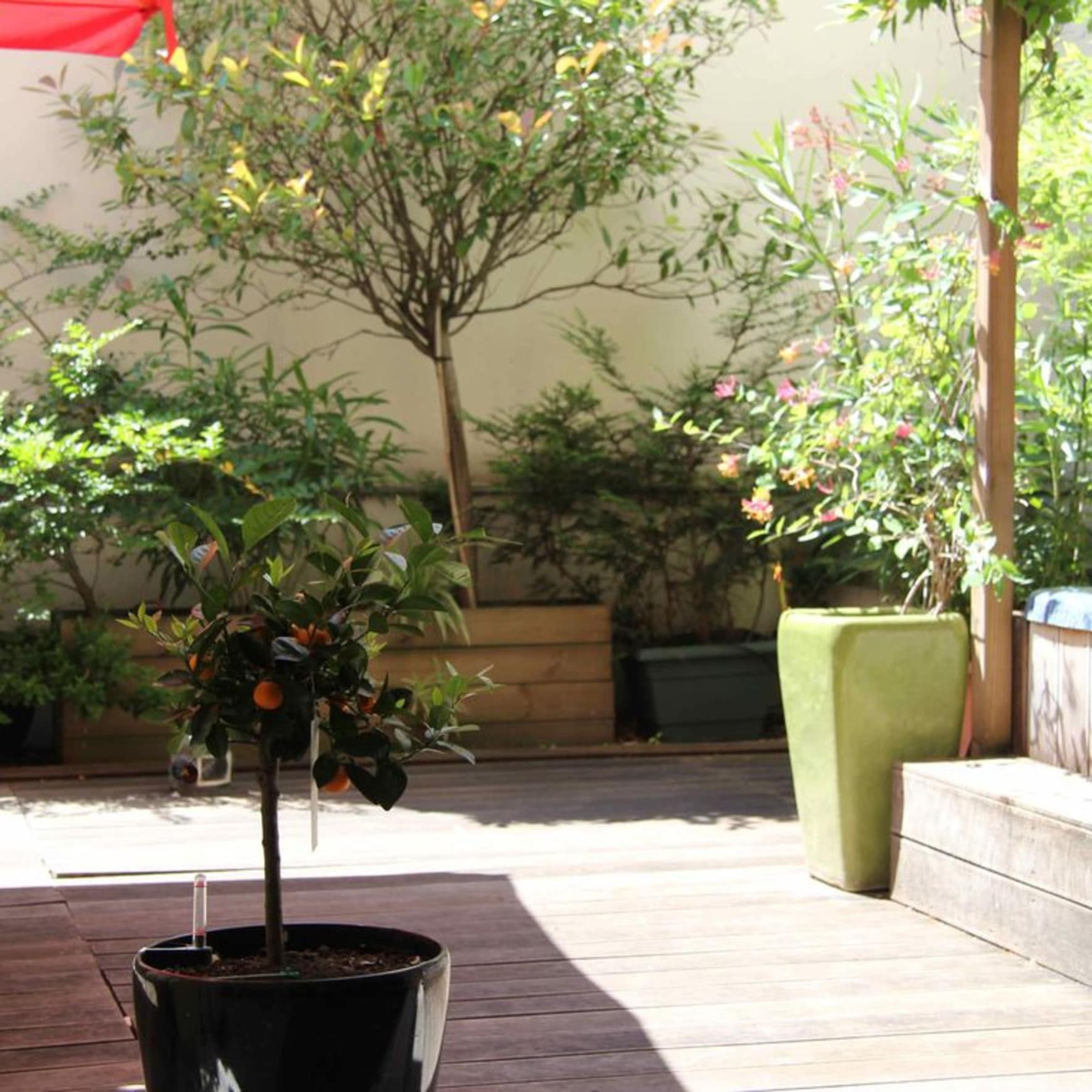 Jardin intérieur à Paris