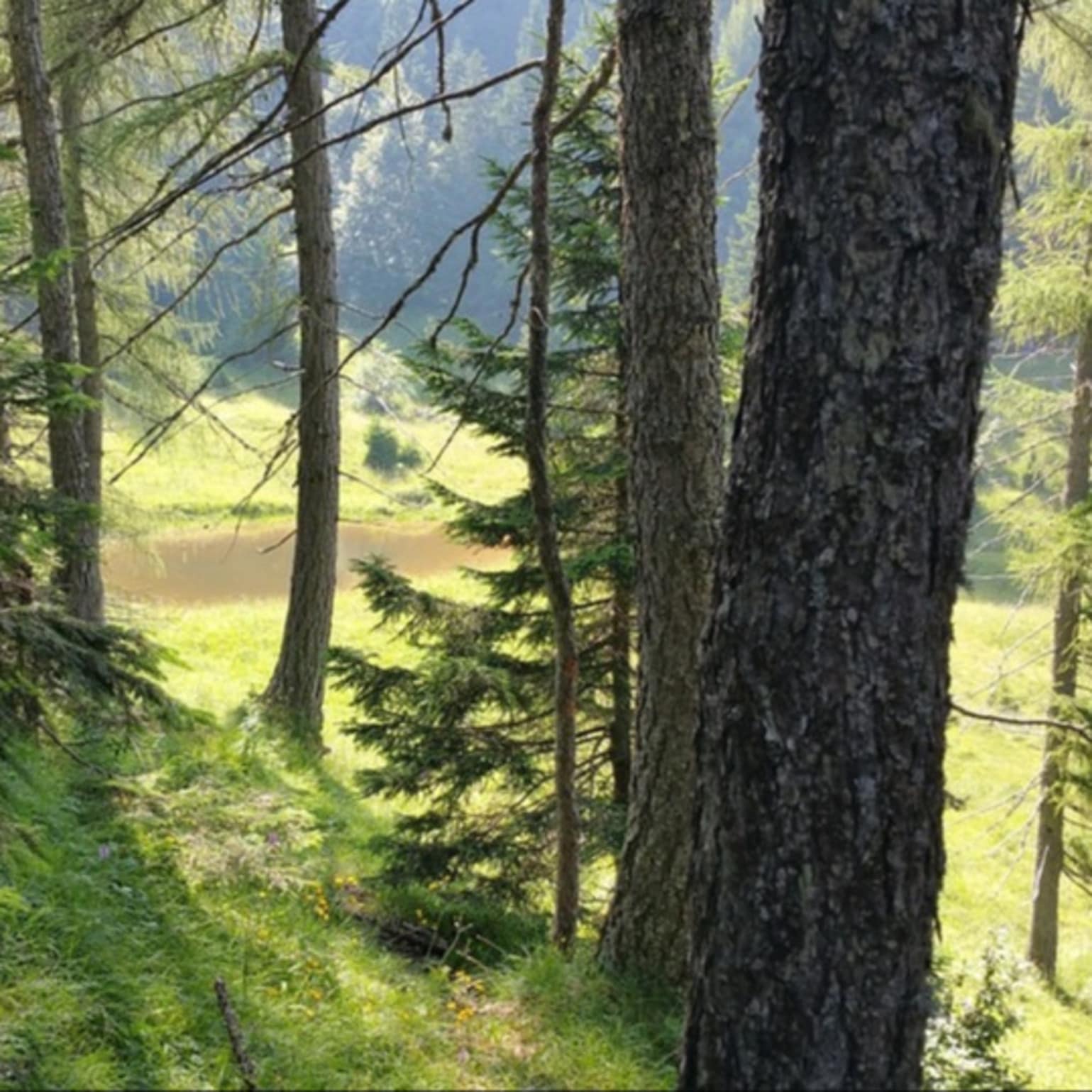 Montagne en été
