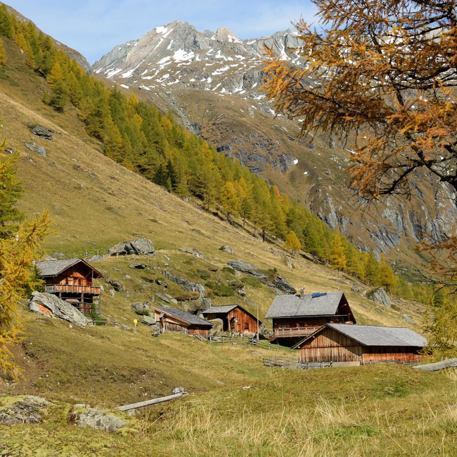 plusieurs chalets en bois à la campagne, à la montagne, en automne