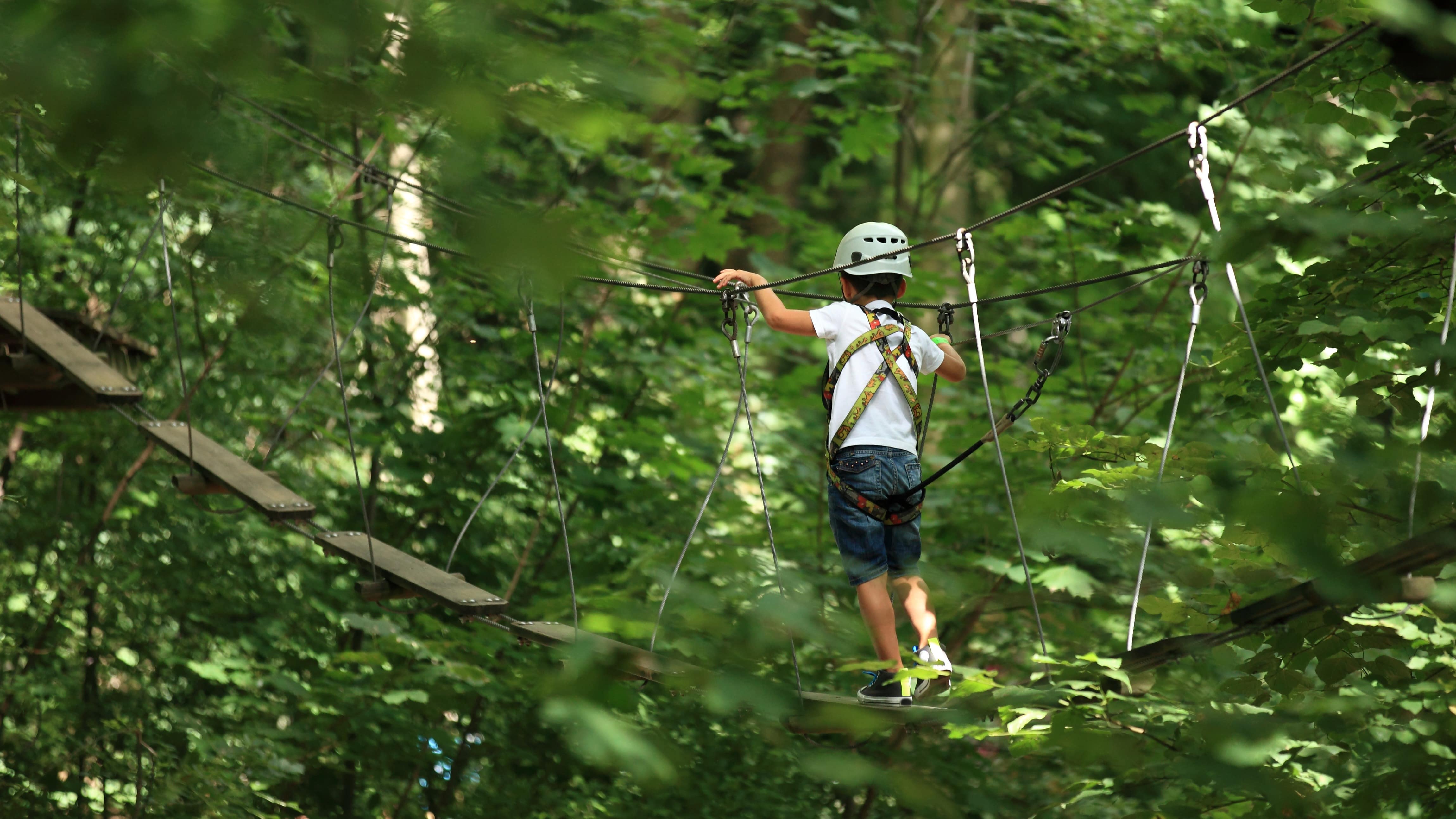 Vue sur un petit garçon faisant de l'accrobranche dans la forêt