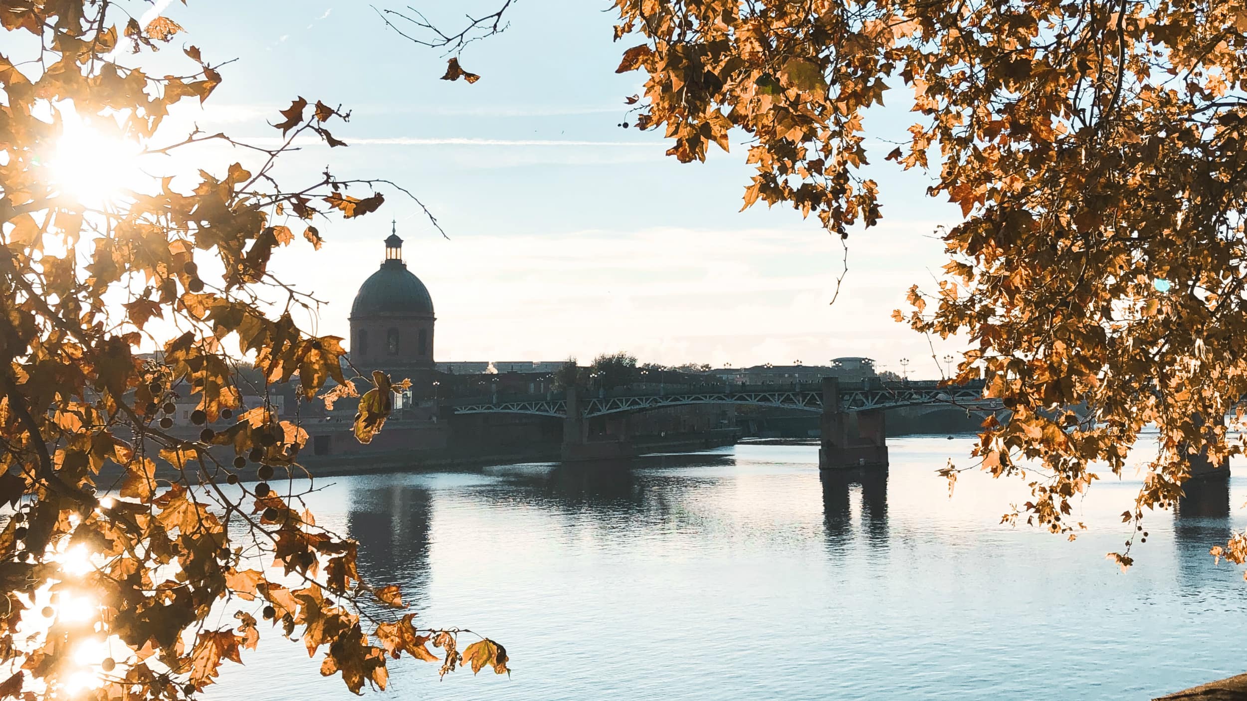 Top 5 des villes à voir depuis une cabane dans les arbres dans le sud-ouest