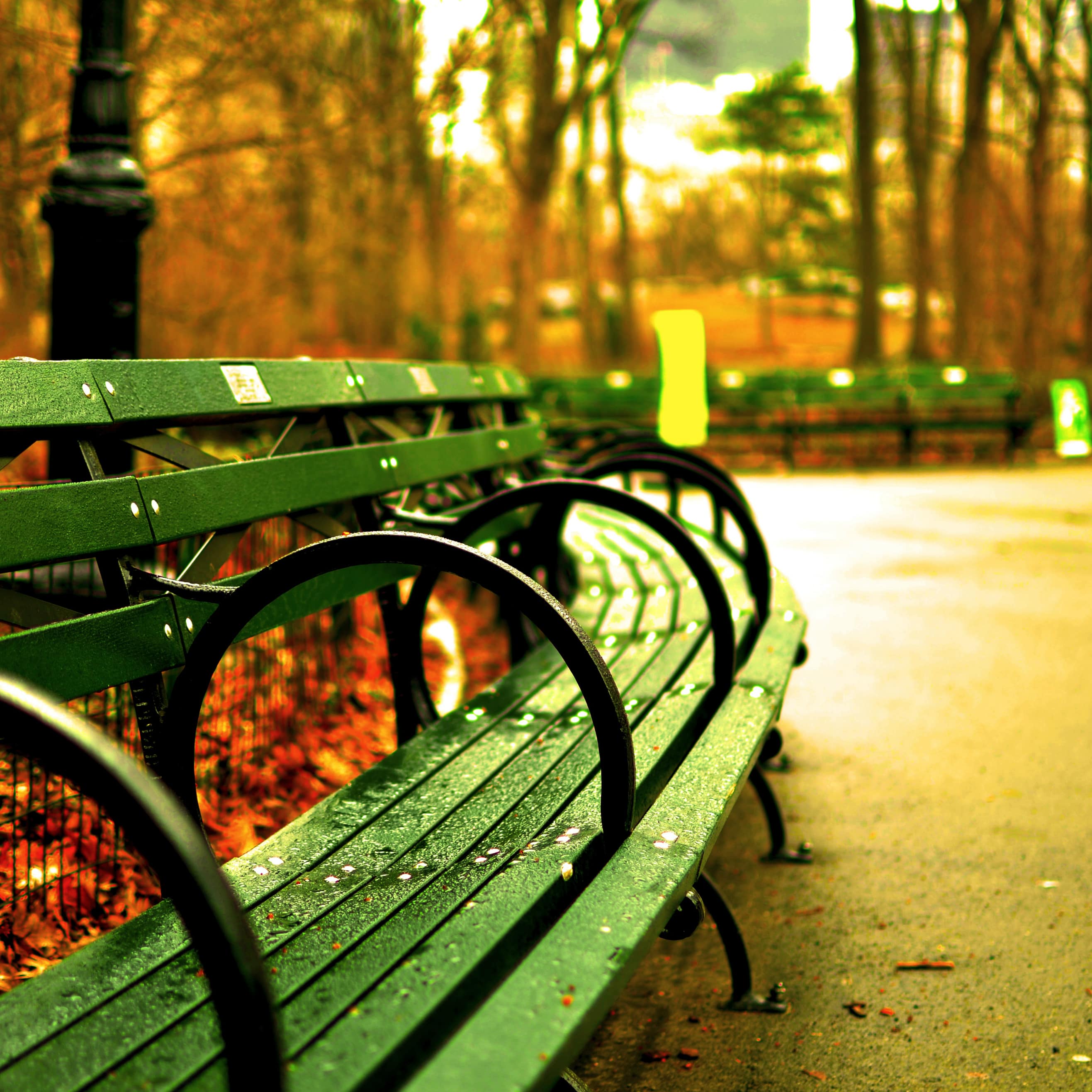 Banc de Central park