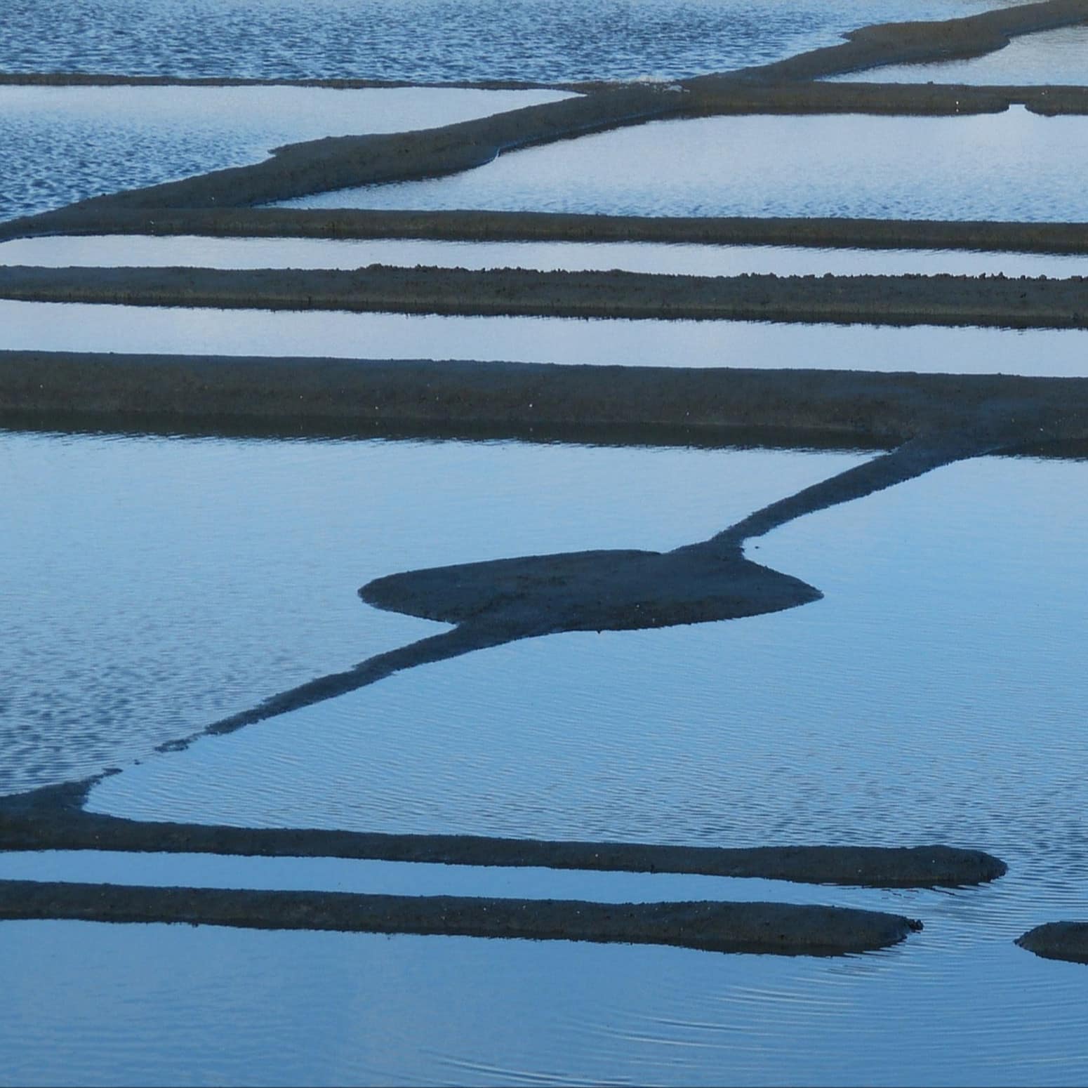 Marais salants de Guérande
