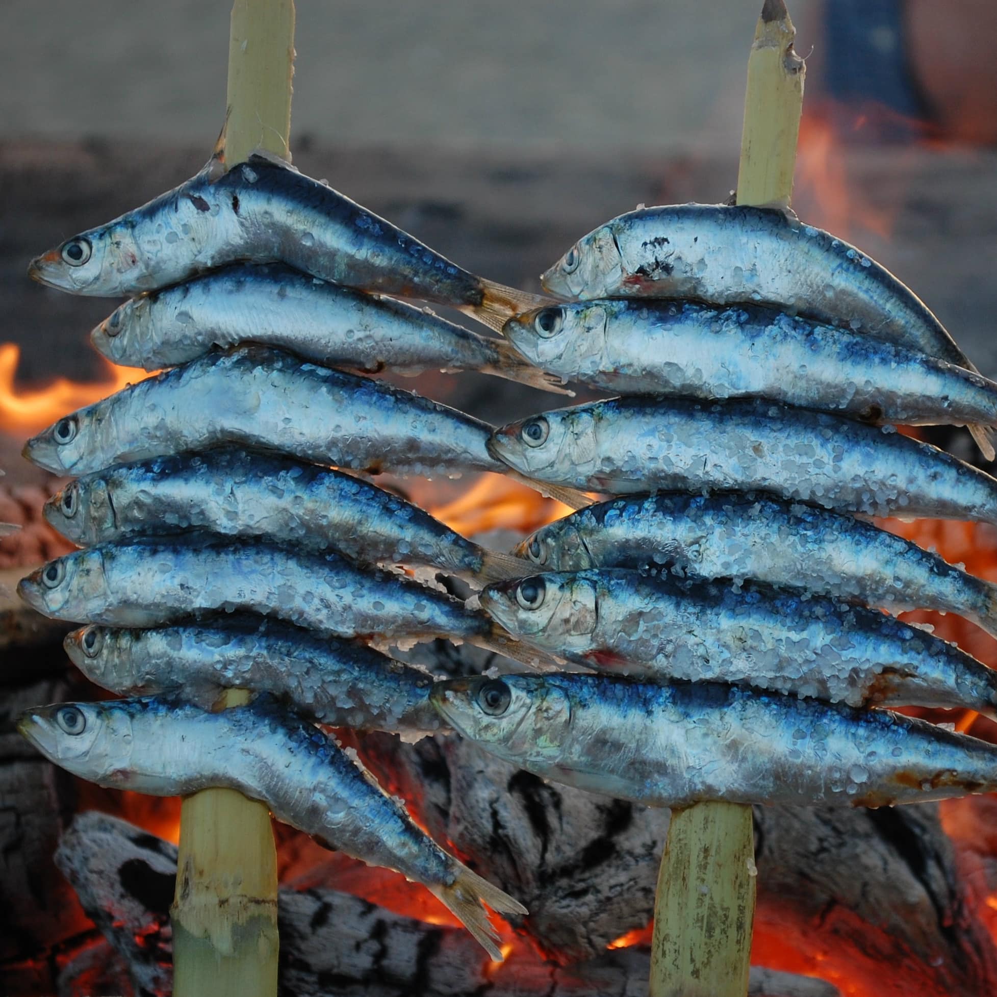 Poissons grillés