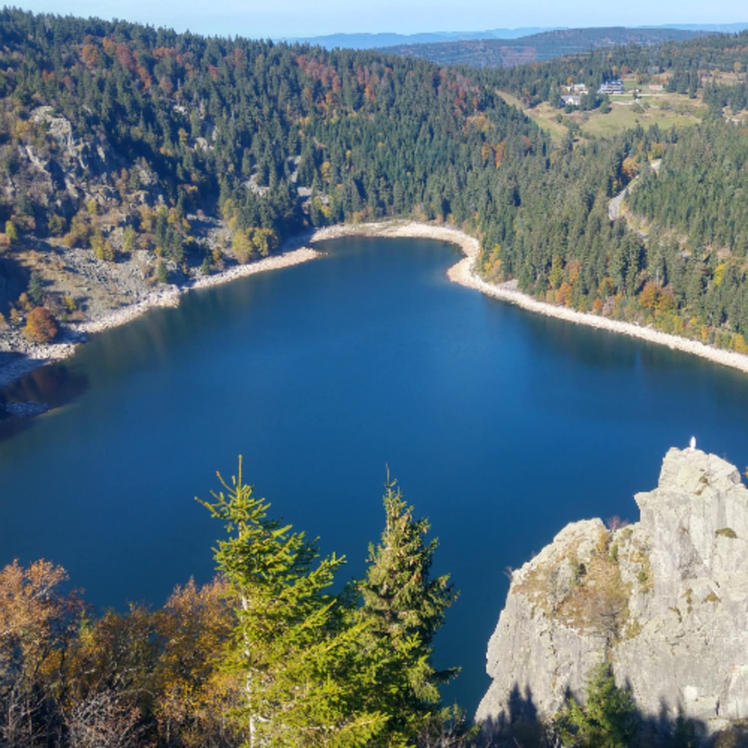 Les forêts vosgiennes