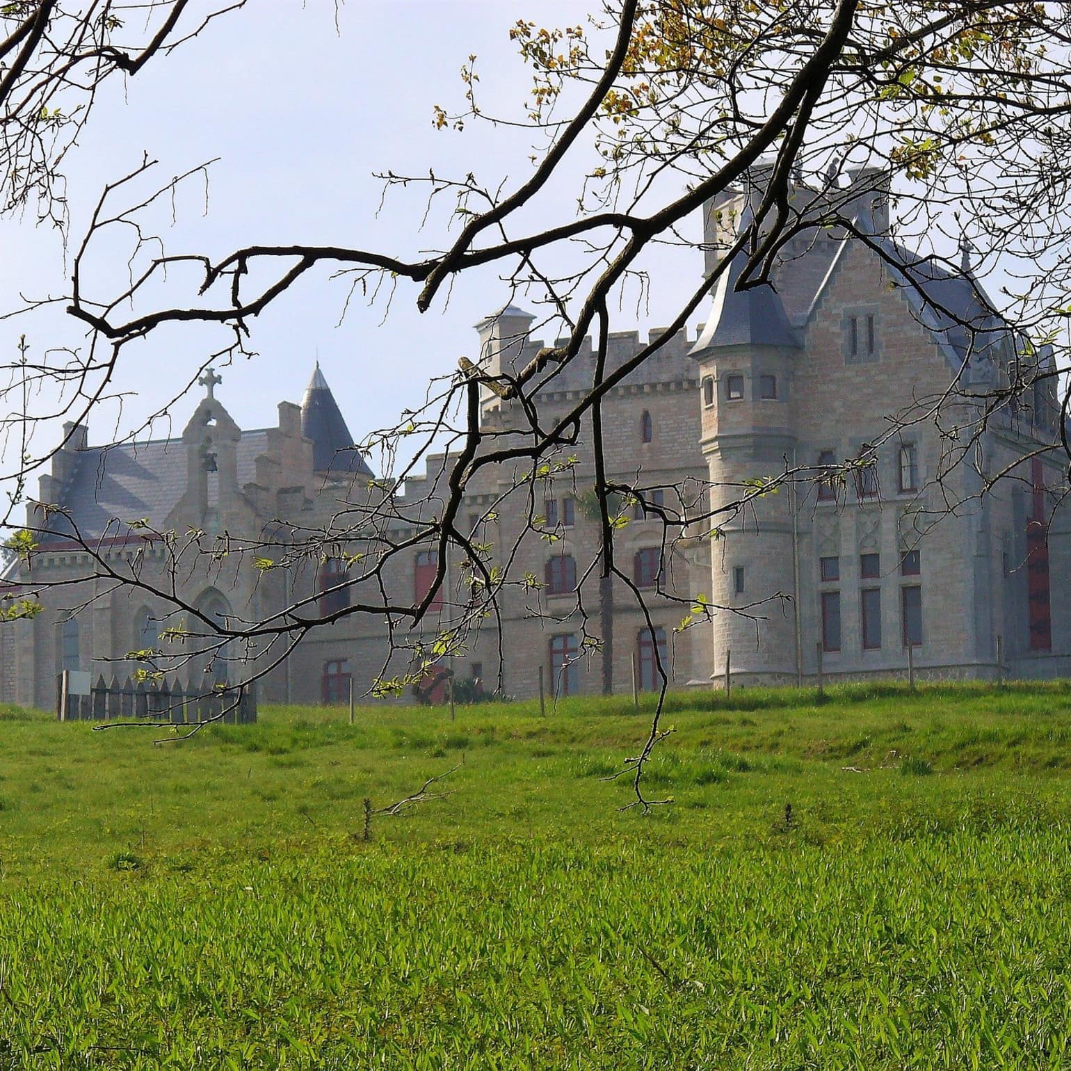 Magnifique château avec pignons en escaliers et tour d'angle, au cœur d'une belle pelouse, derrière des branches d'arbre.