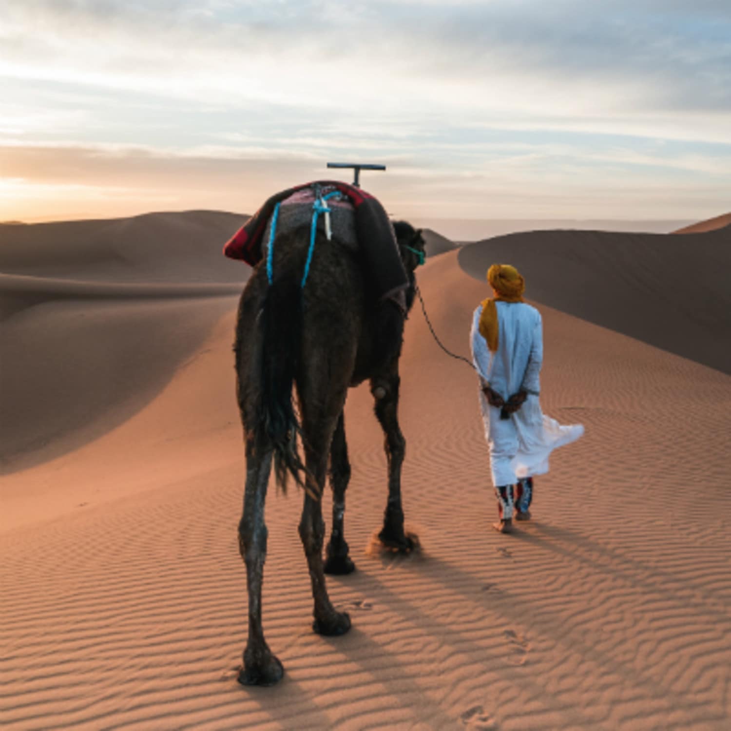 Découverte des étendues marocaines