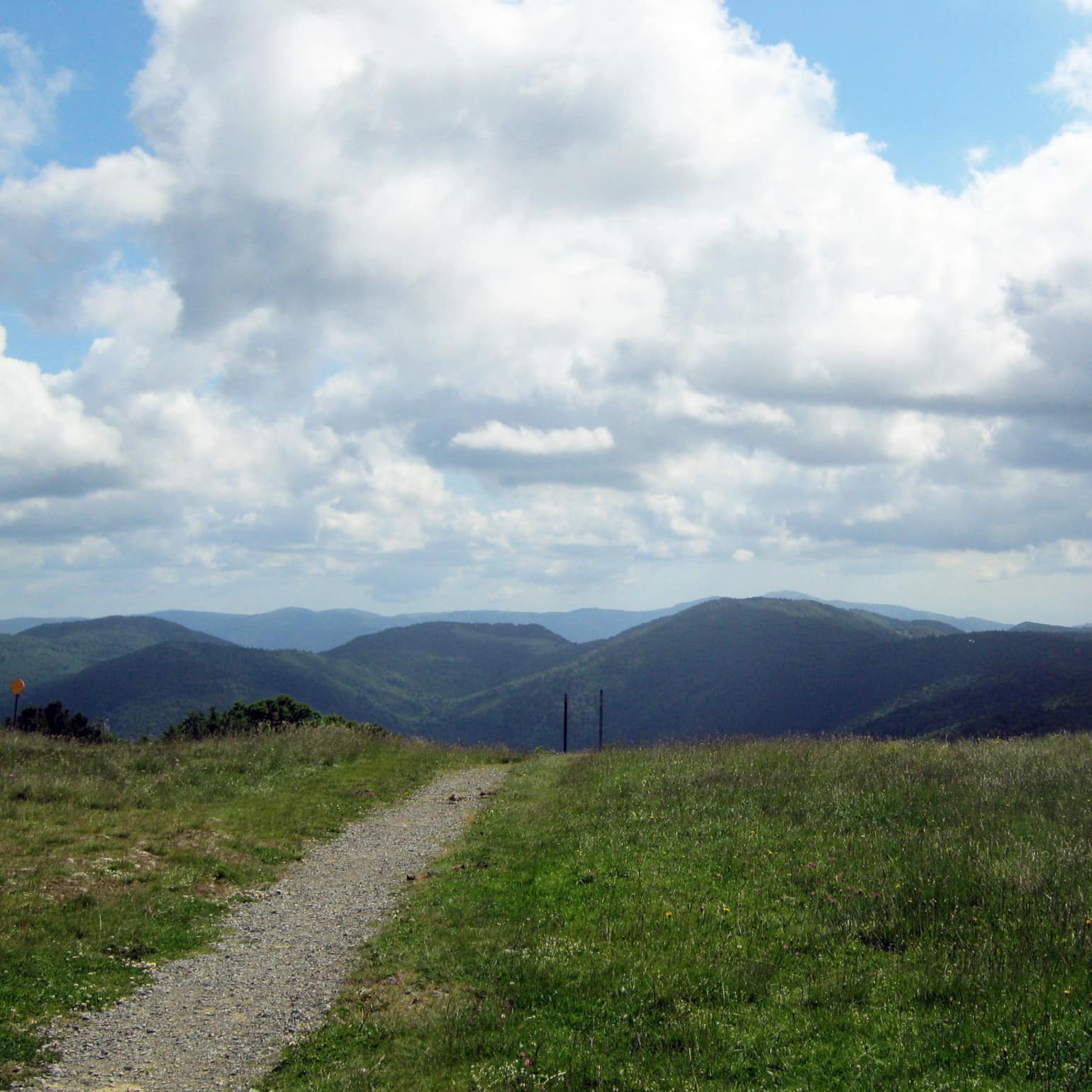 Vue du haut du Petit Ballon, sommet situé dans les Vosges