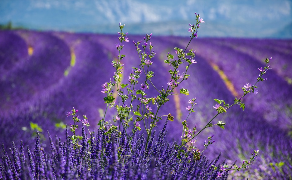 Top 10 des vacances en famille en France