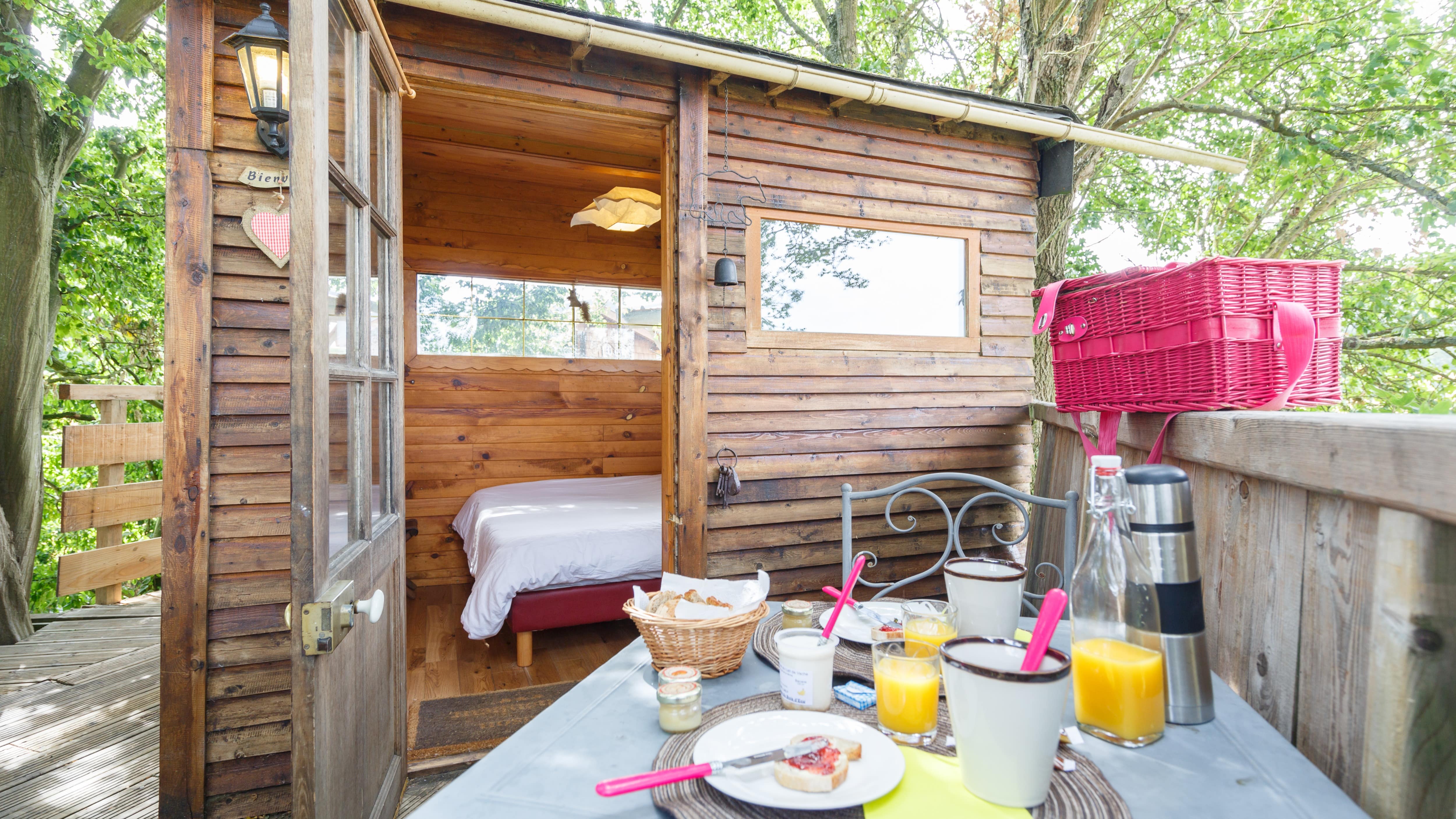 5 bonnes raisons de louer une cabane dans les arbres dans le Nord