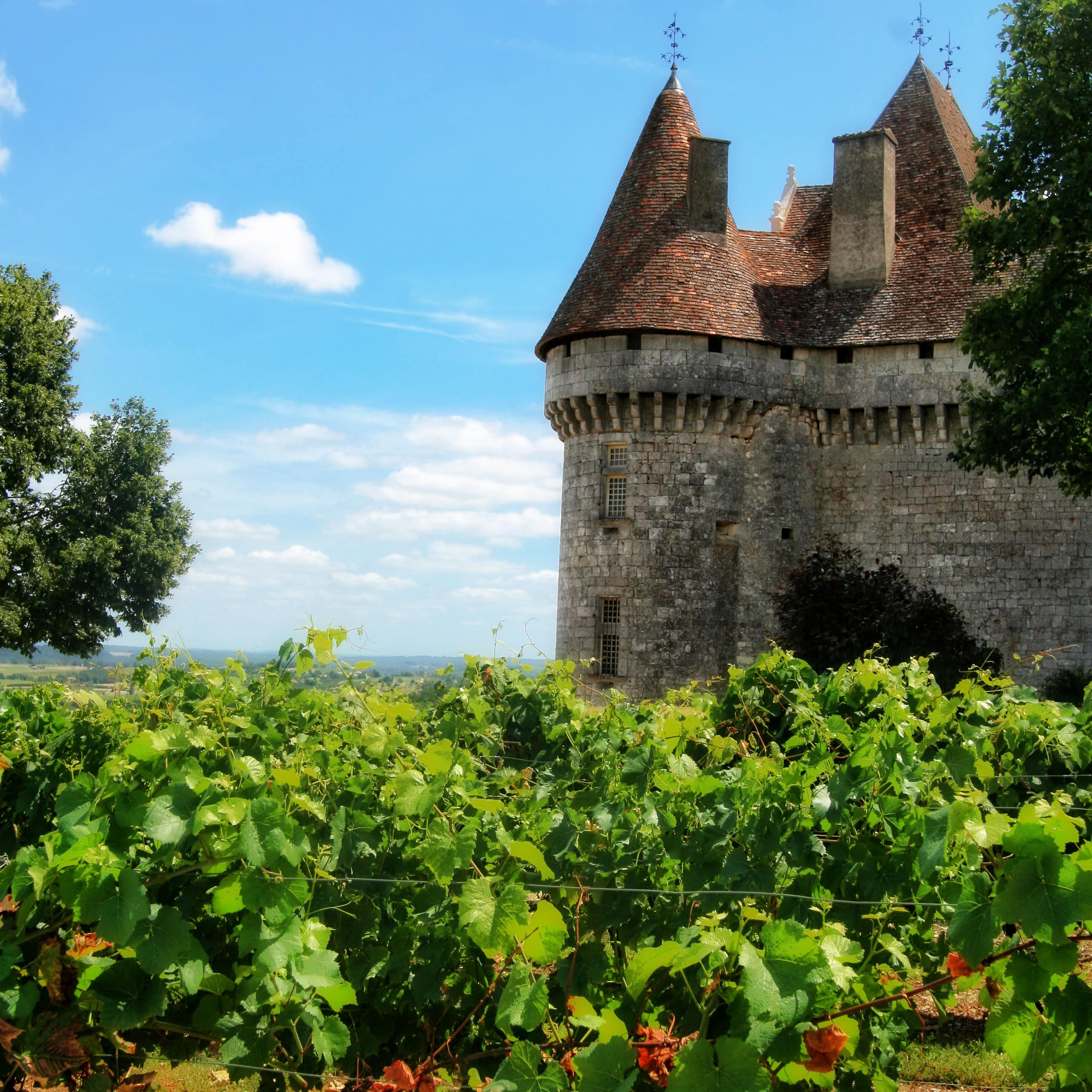 Locations de vacances en Dordogne : maison de vacances avec vue sur un château, au milieu des vignes