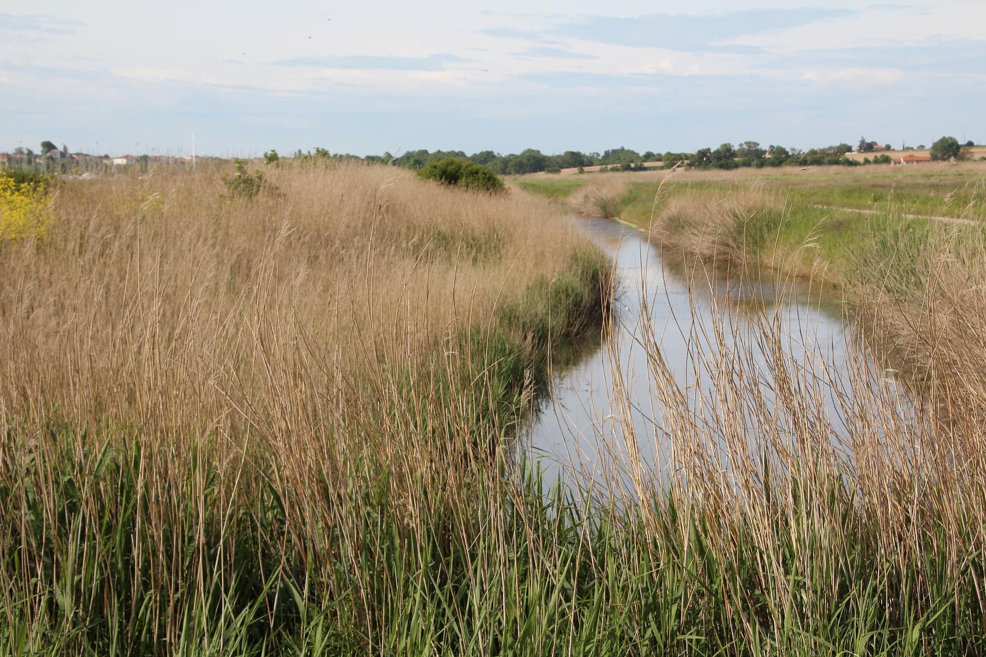 Marais Poitevin, image par Etienne GONTIER de Pixabay