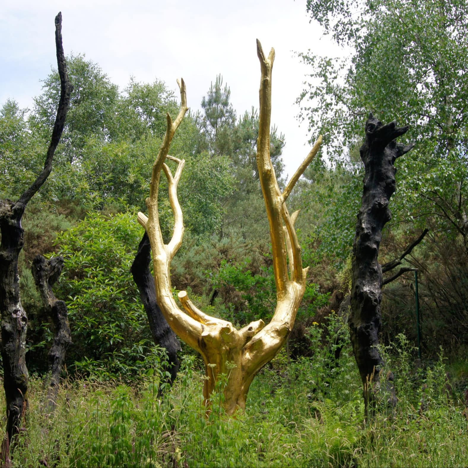 L’arbre d’or dans la forêt de Brocéliande, Bretagne
