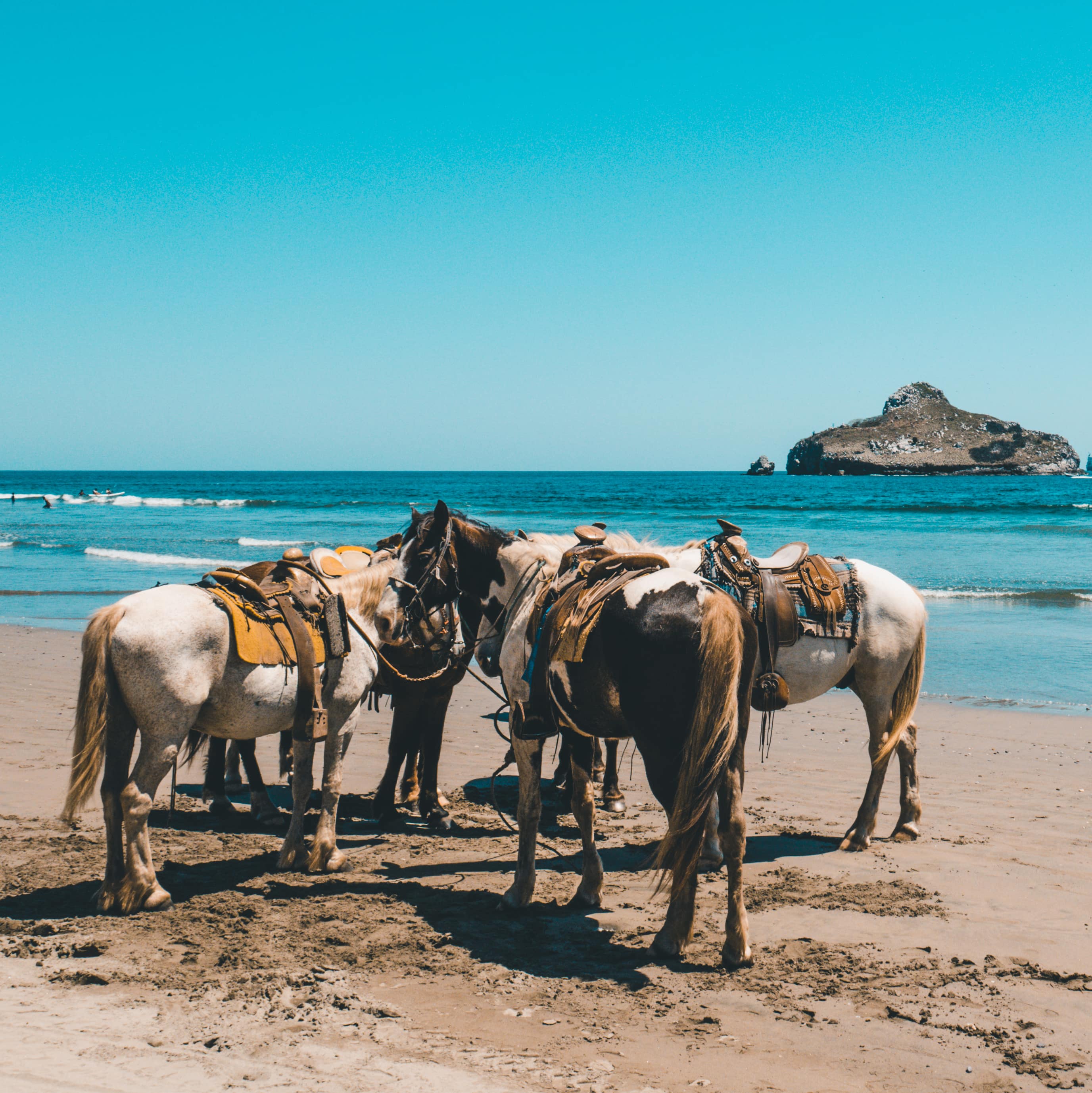 Promenade à cheval sur la plage