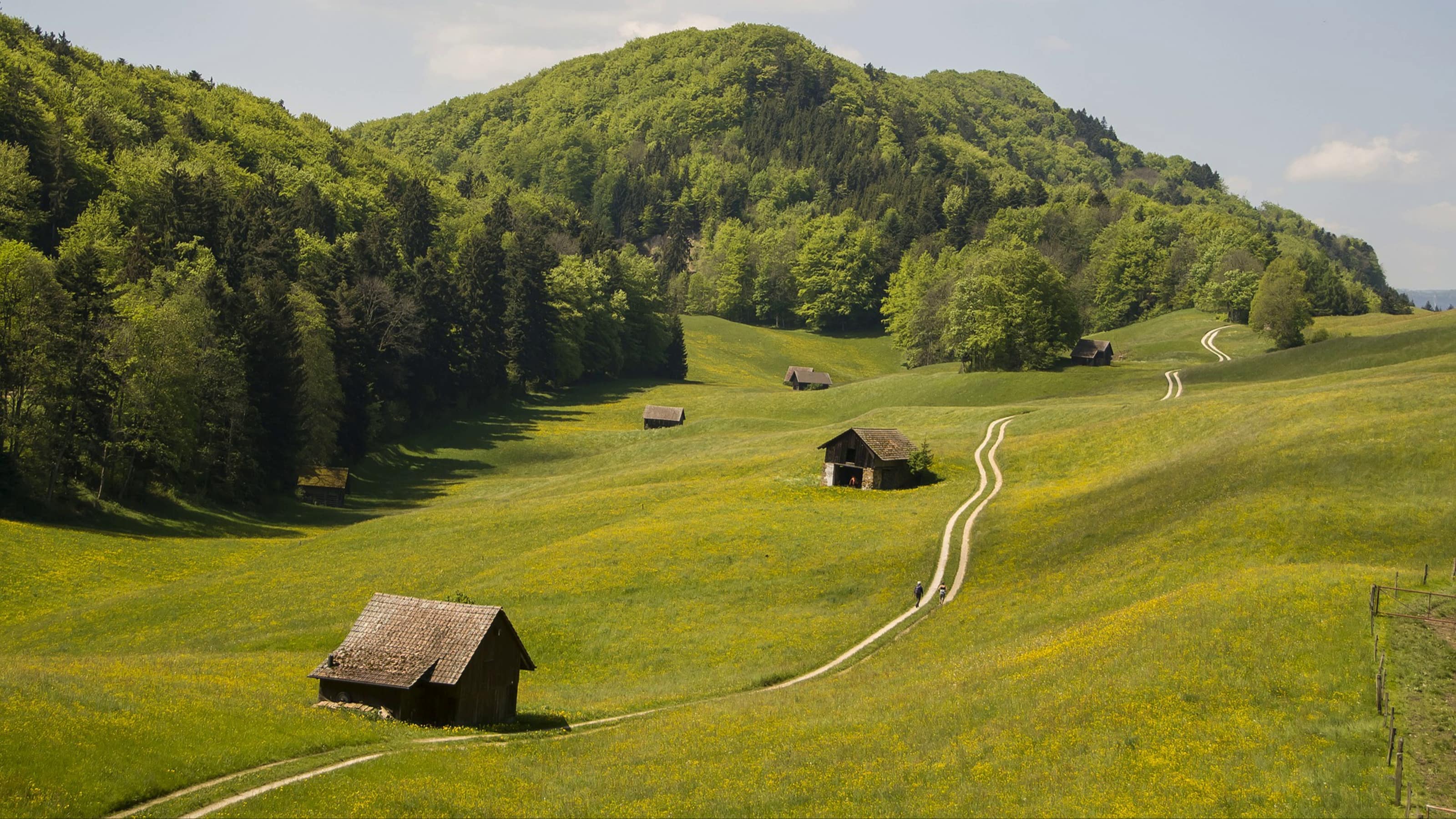 Et si vous louiez un gîte dans le Jura ?