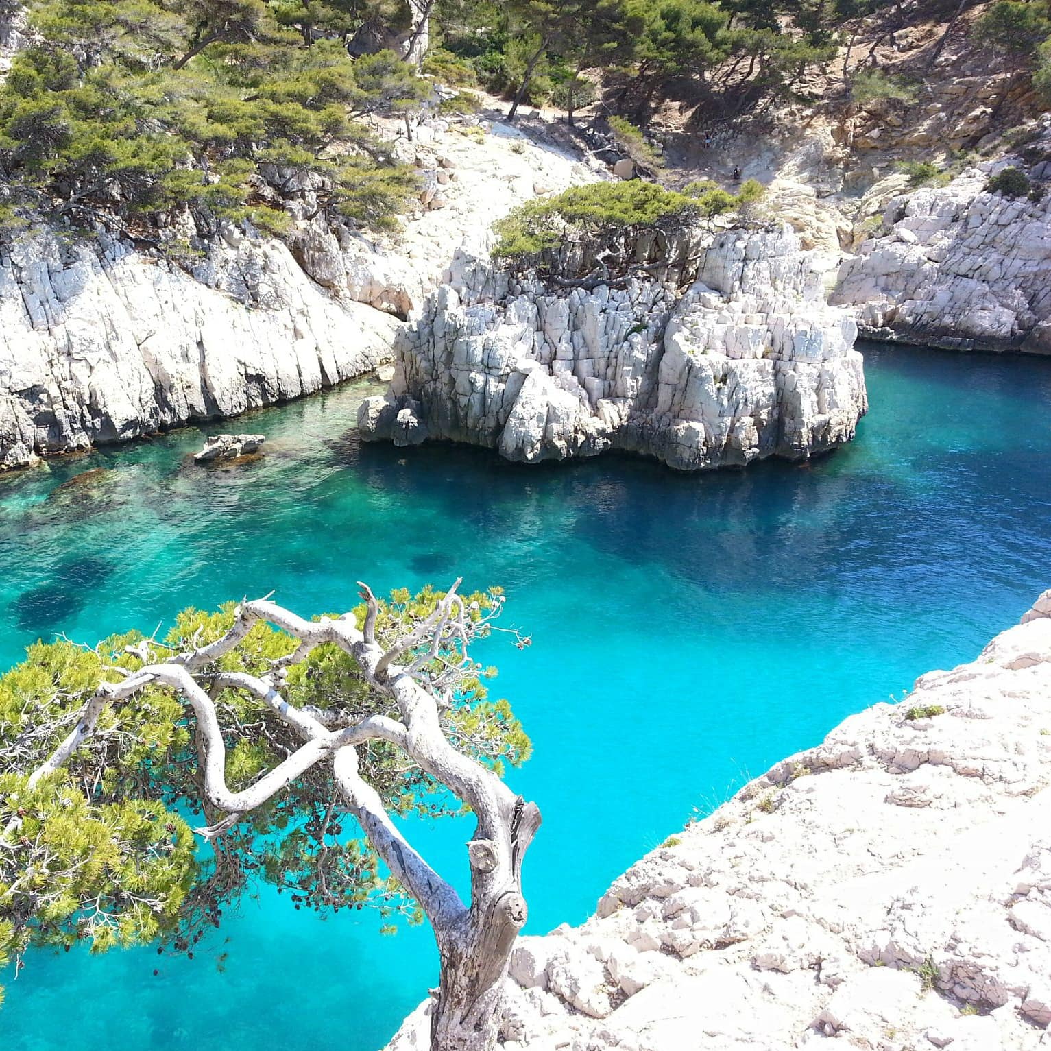 Les Calanques