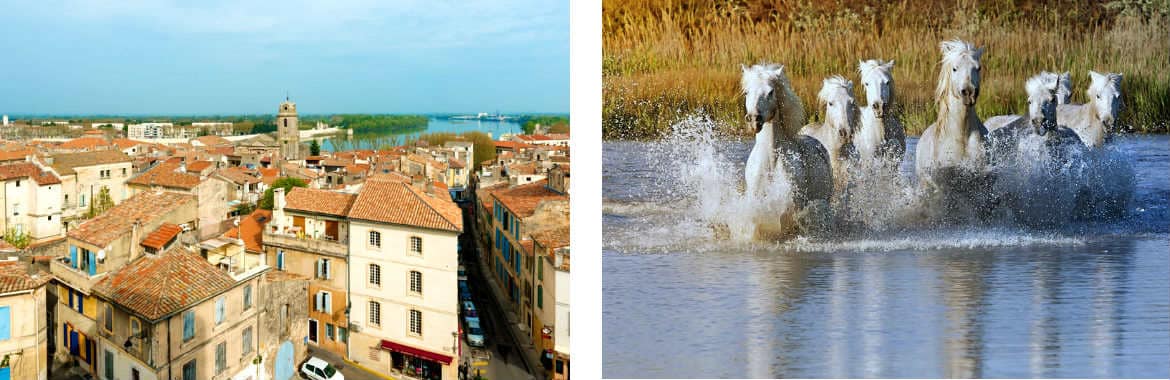 visiter camargue 1