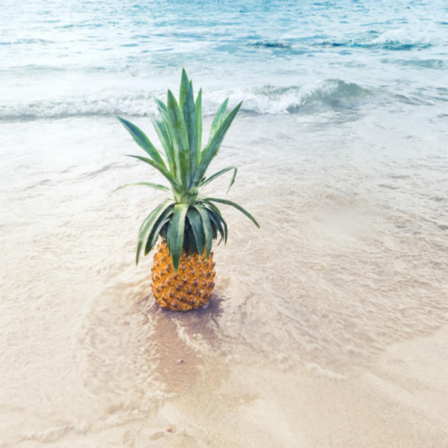 Surprise sur une plage de Guadeloupe