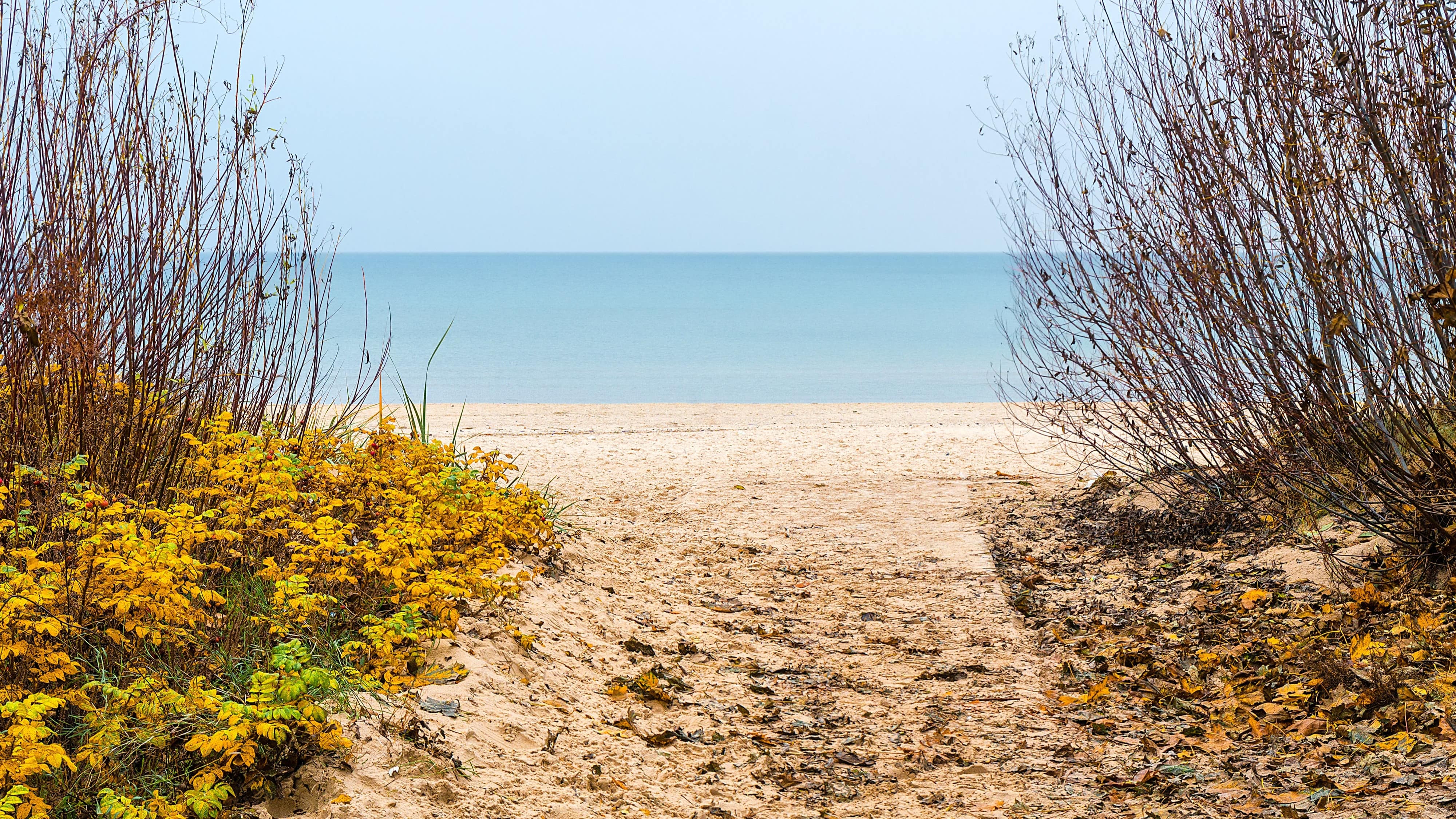 Panorama sur la mer bleue au loin et, en avant-plan, un sentier débouchant sur la plage bordé d’arbustes dans les tons marron et jaune