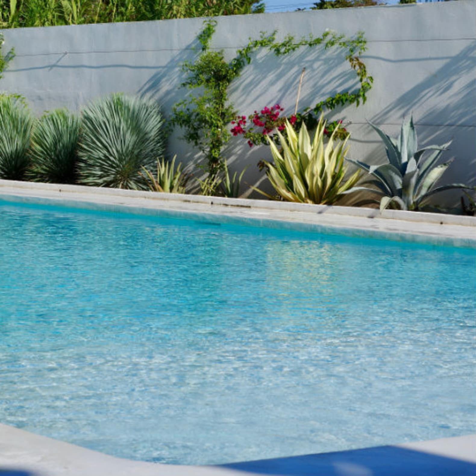 Piscine entourée de végétation, location maison avec piscine