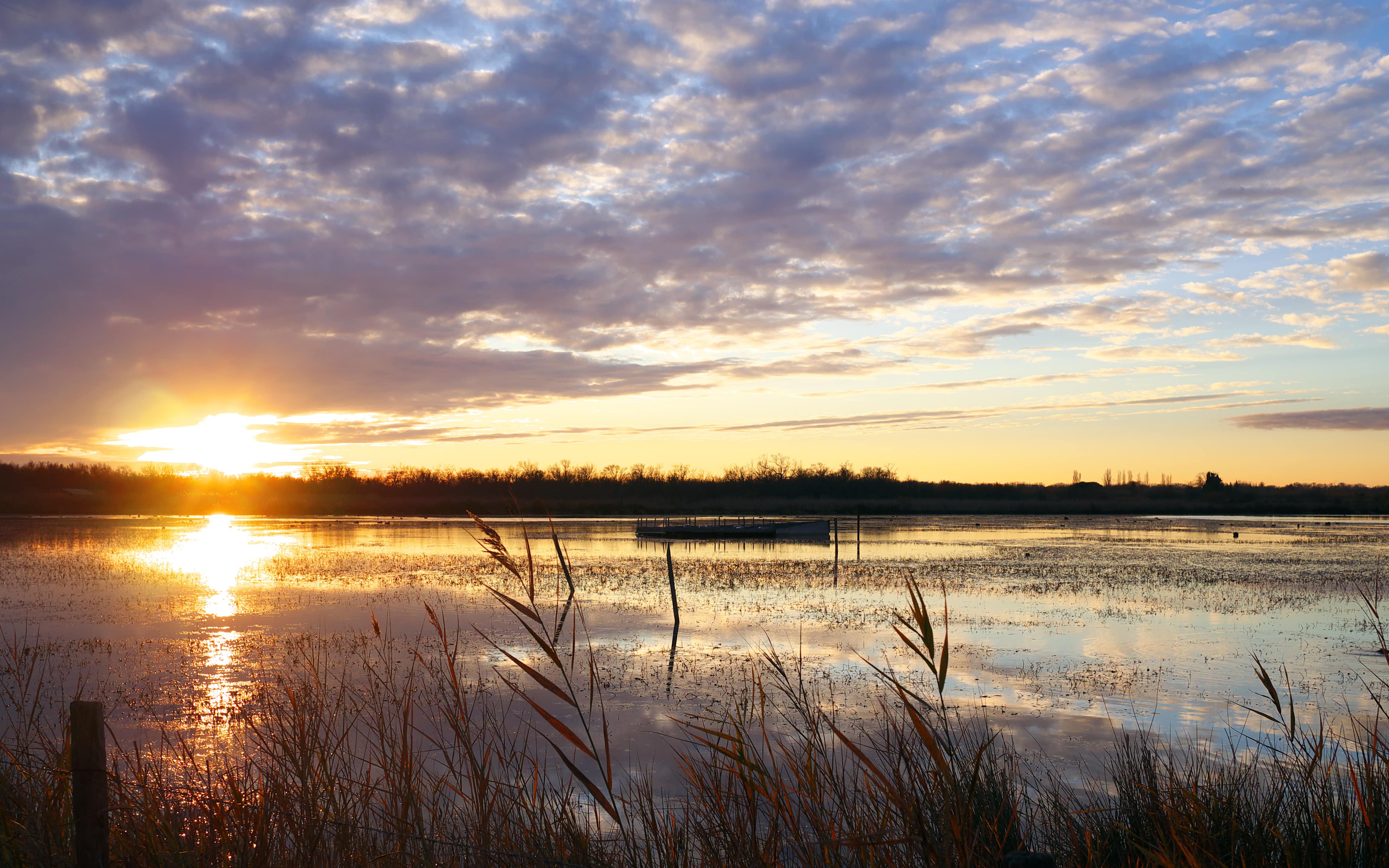 visiter camargue - Pixabay 2