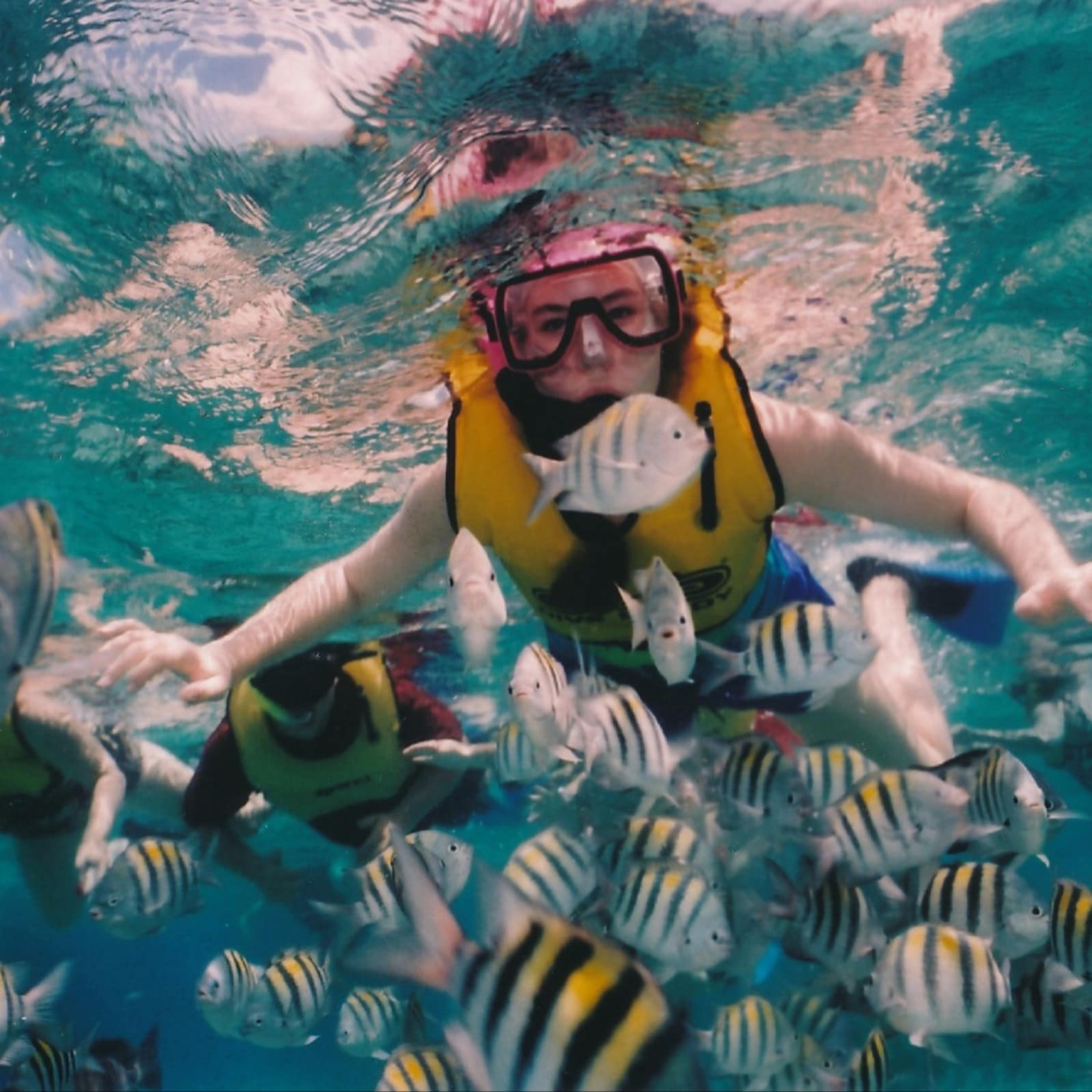 Imaginez ! Nagez avec les poissons dans un aquarium géant
