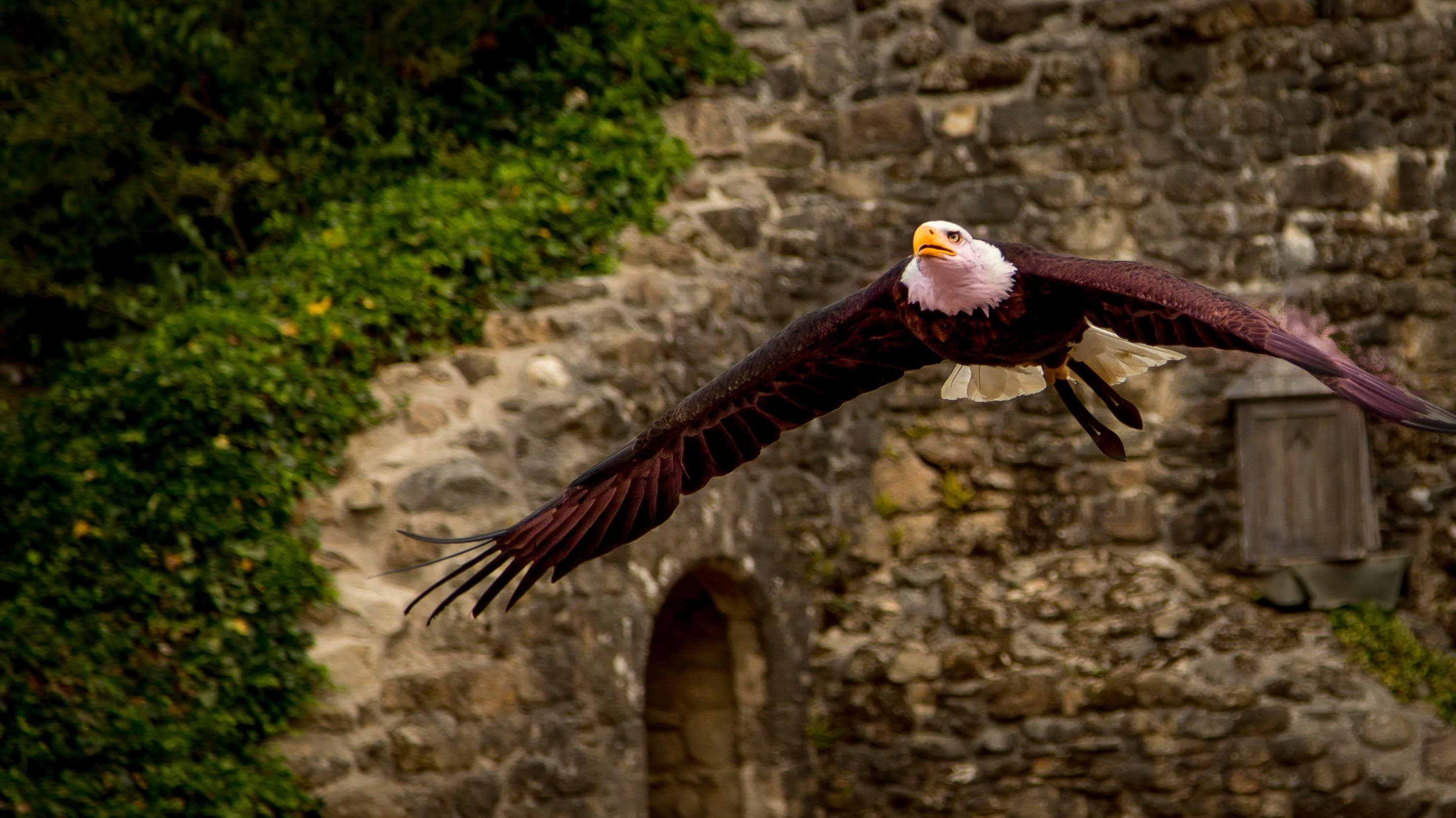 Le Puy du Fou, photo by Alex Guillaume on Unsplash