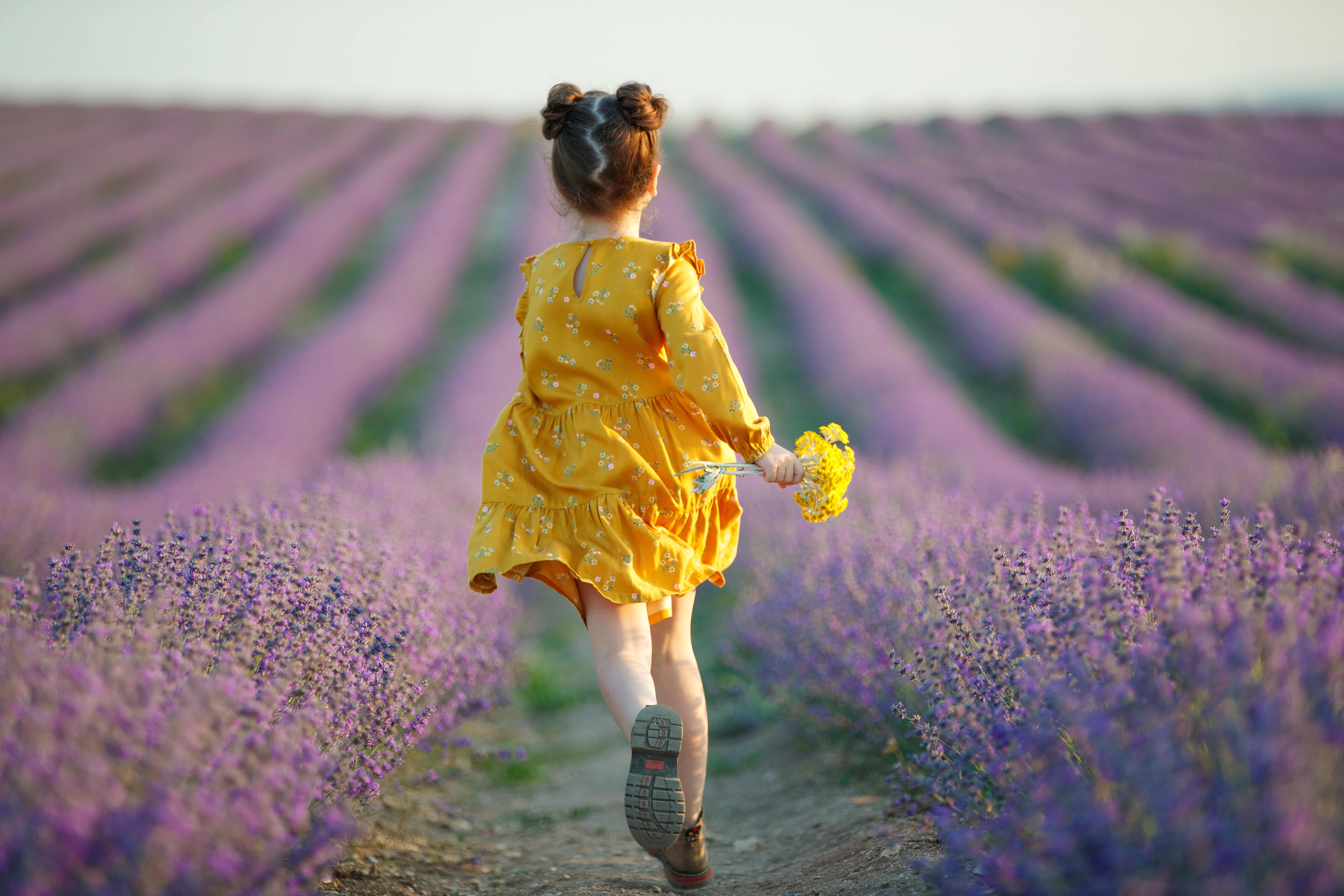 Petite fille qui traverse un champ de lavande dans une robe jaune