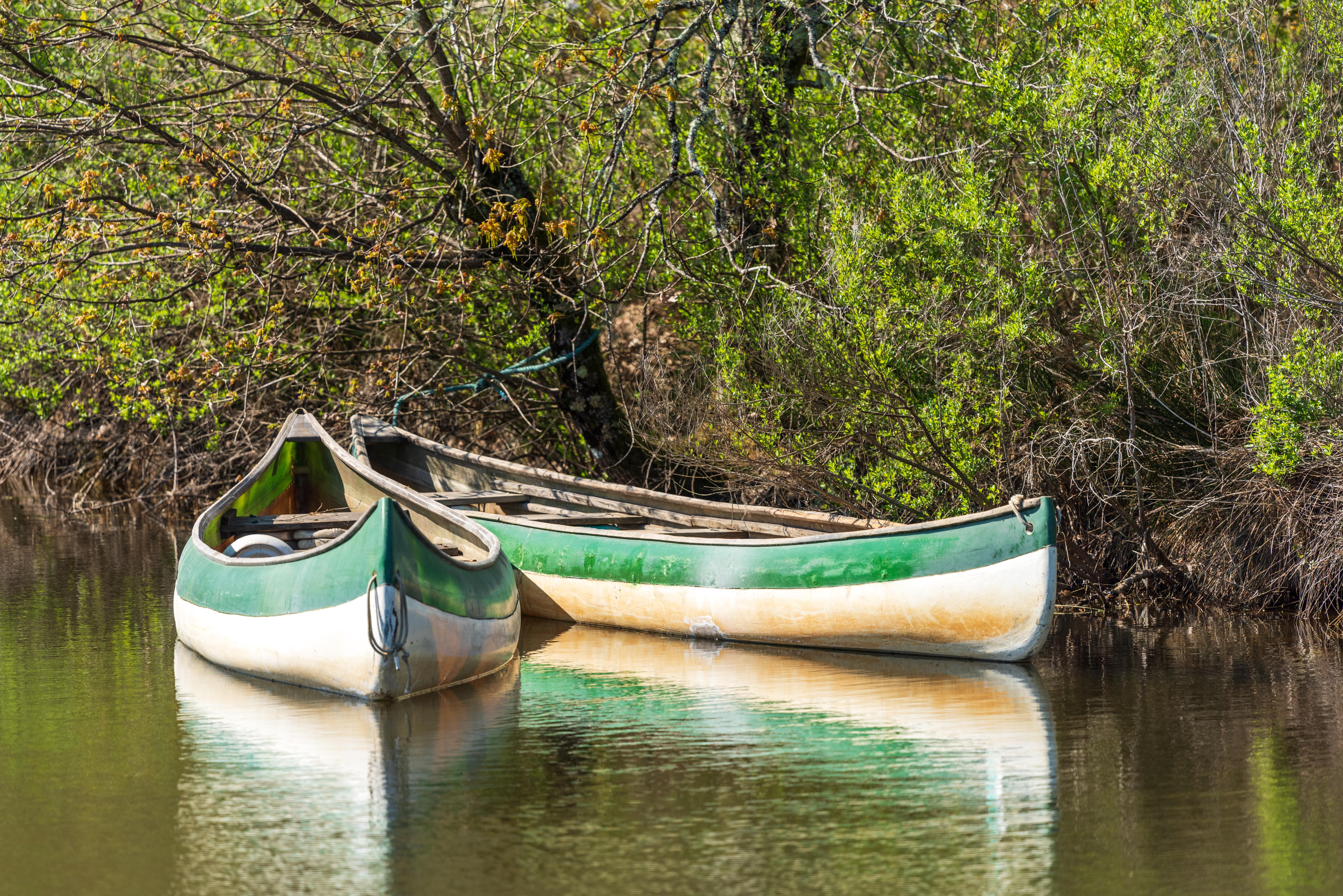 Deux canoës vert et blanc sur la rivière Leyre près du bassin d’Arcachon