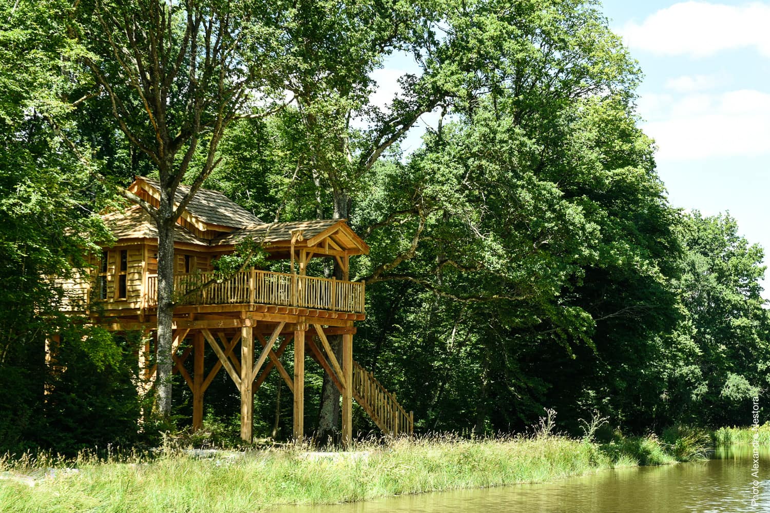 La cabane dans les arbres ou comment échapper à la frénésie du quotidien