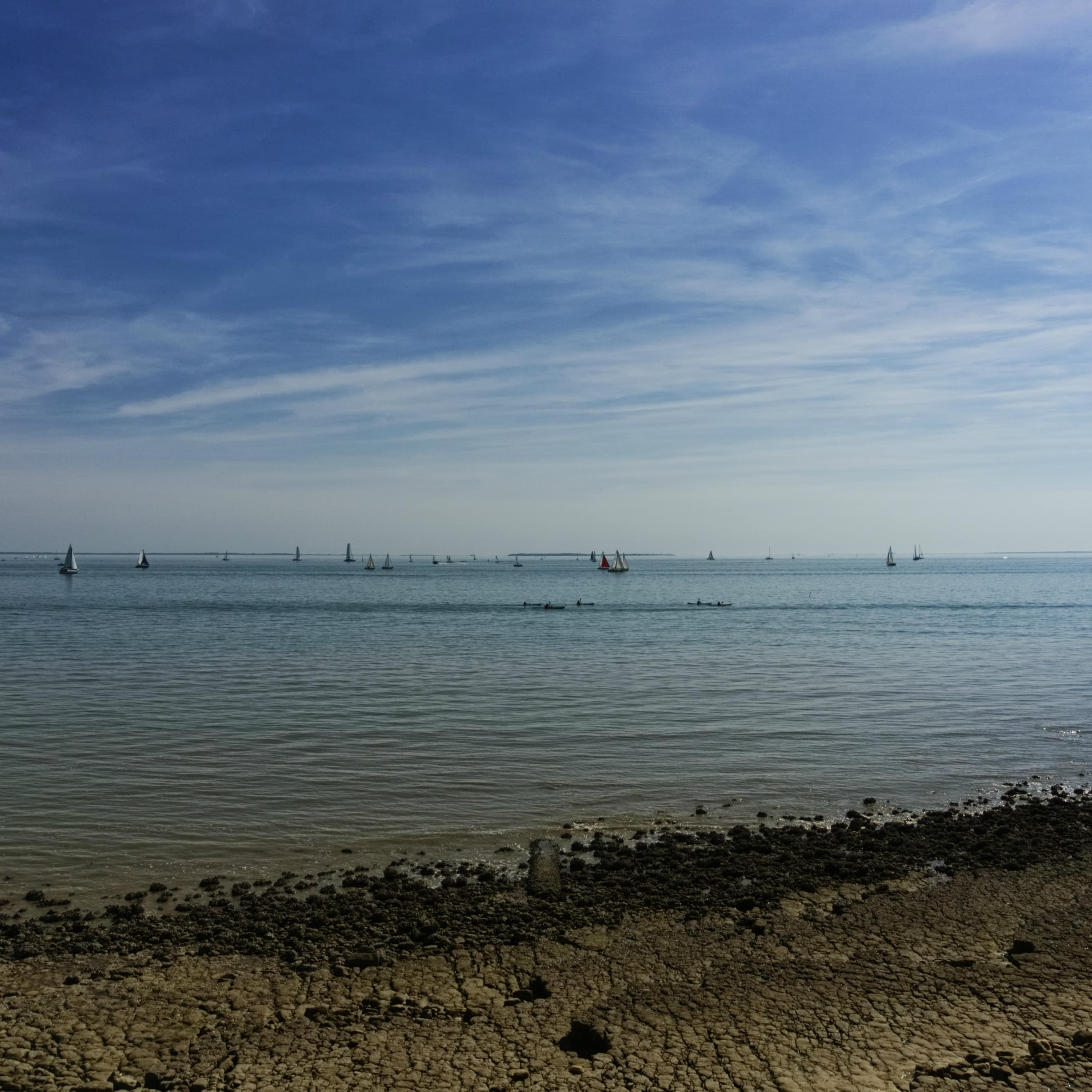 Voiliers à la Rochelle