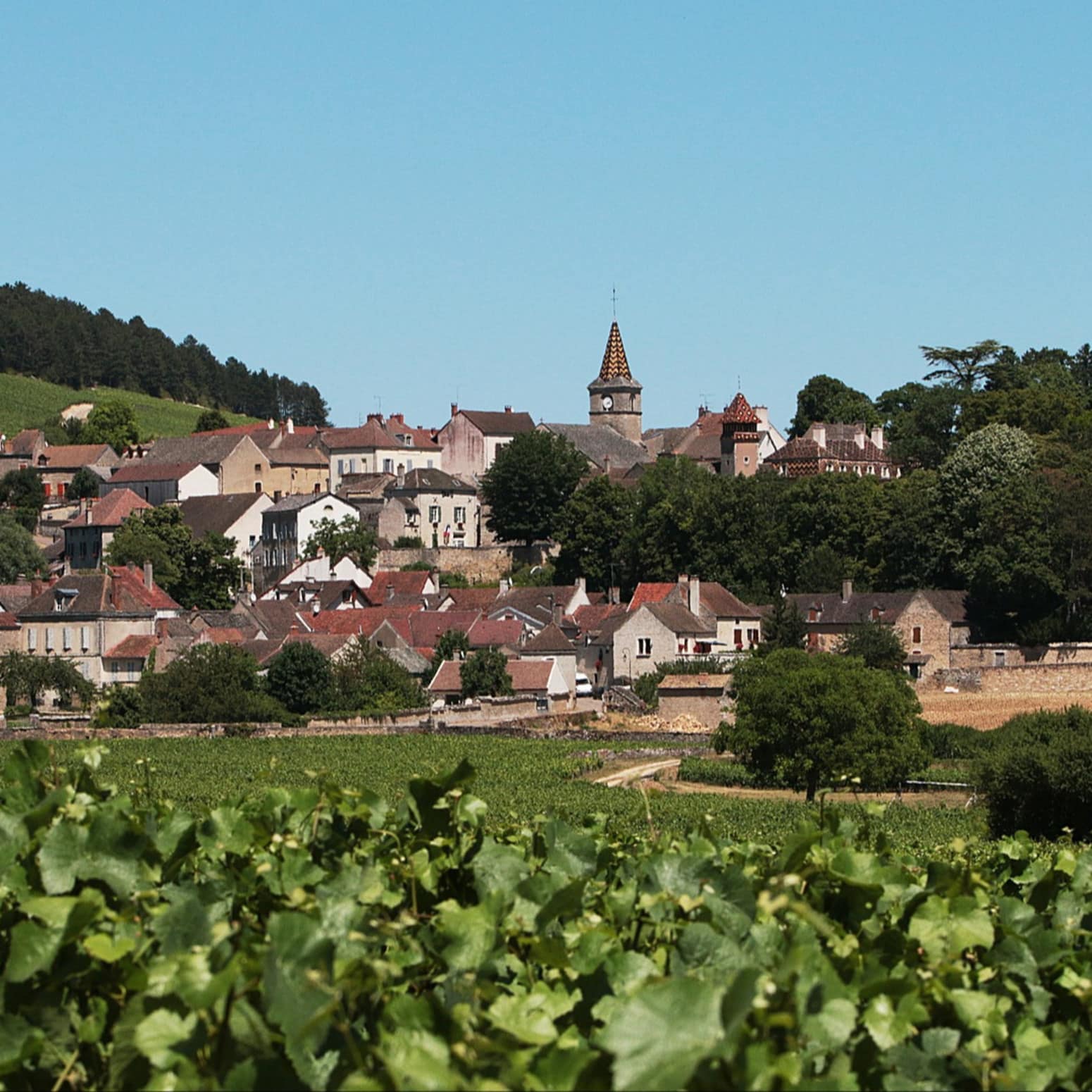 Vignes et village en Bourgogne