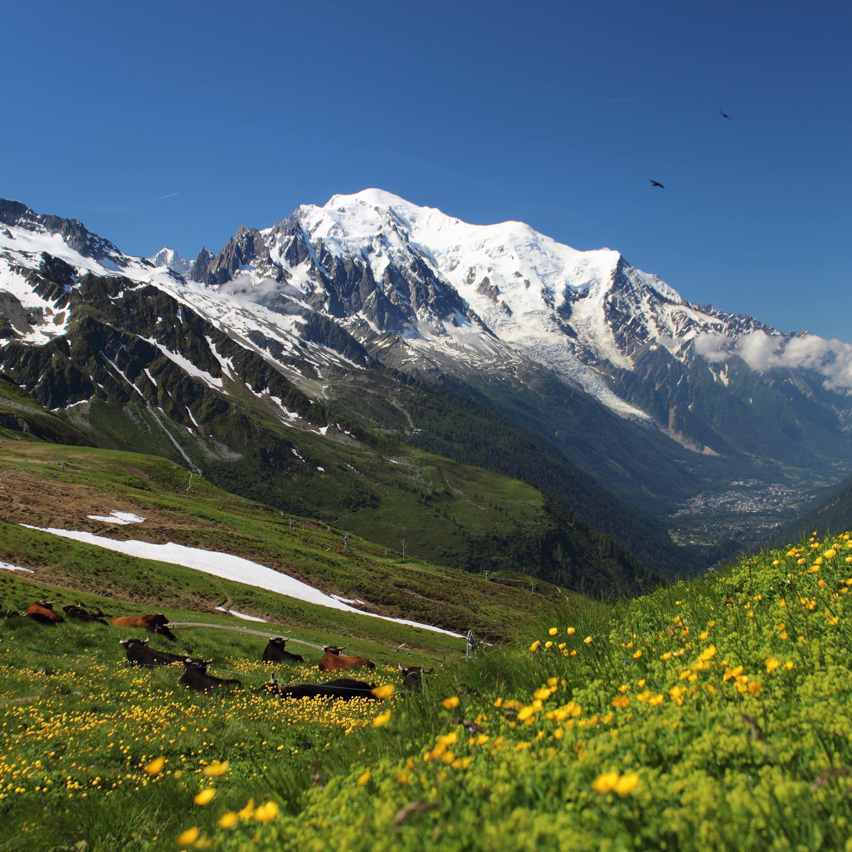Le Massif du Mont-Blanc et le plus haut sommet d’Europe