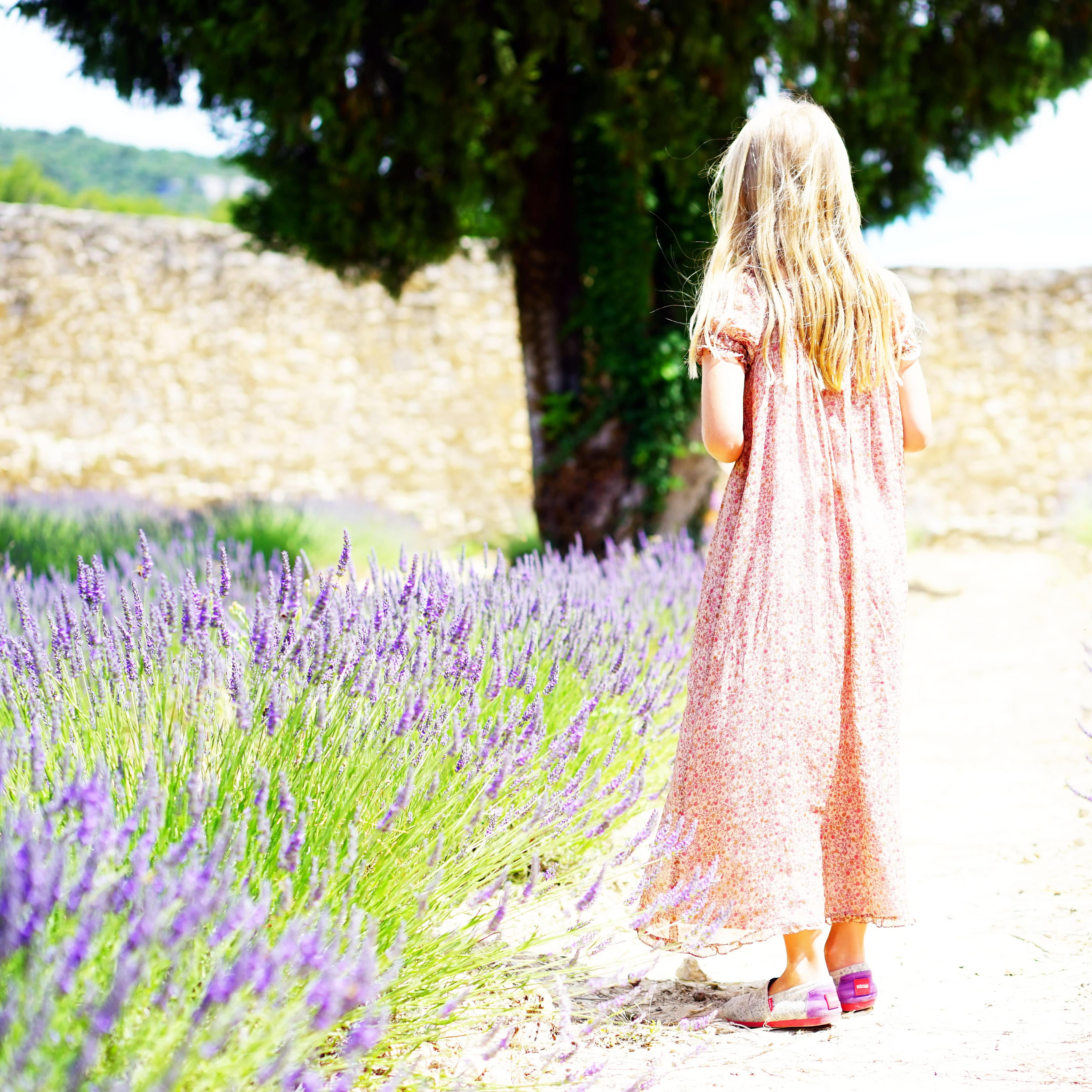 Location de vacances dans la région Provence-Alpes-Côte d'Azur : sur les routes de la lavande