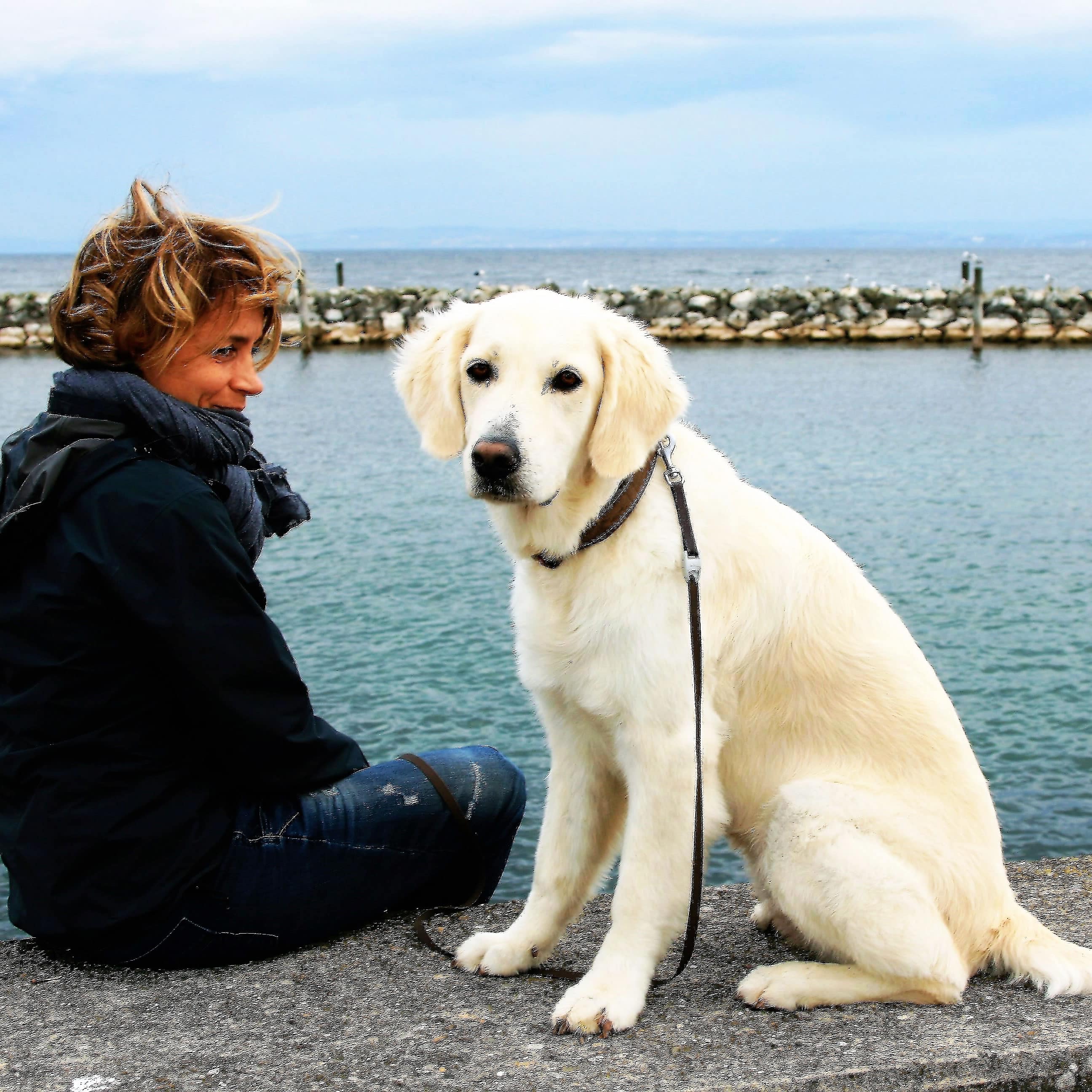 Gîtes à La Rochelle : baladez-vous avec votre chien le long du port de La Rochelle avec un gîte qui accepte les animaux de compagnie