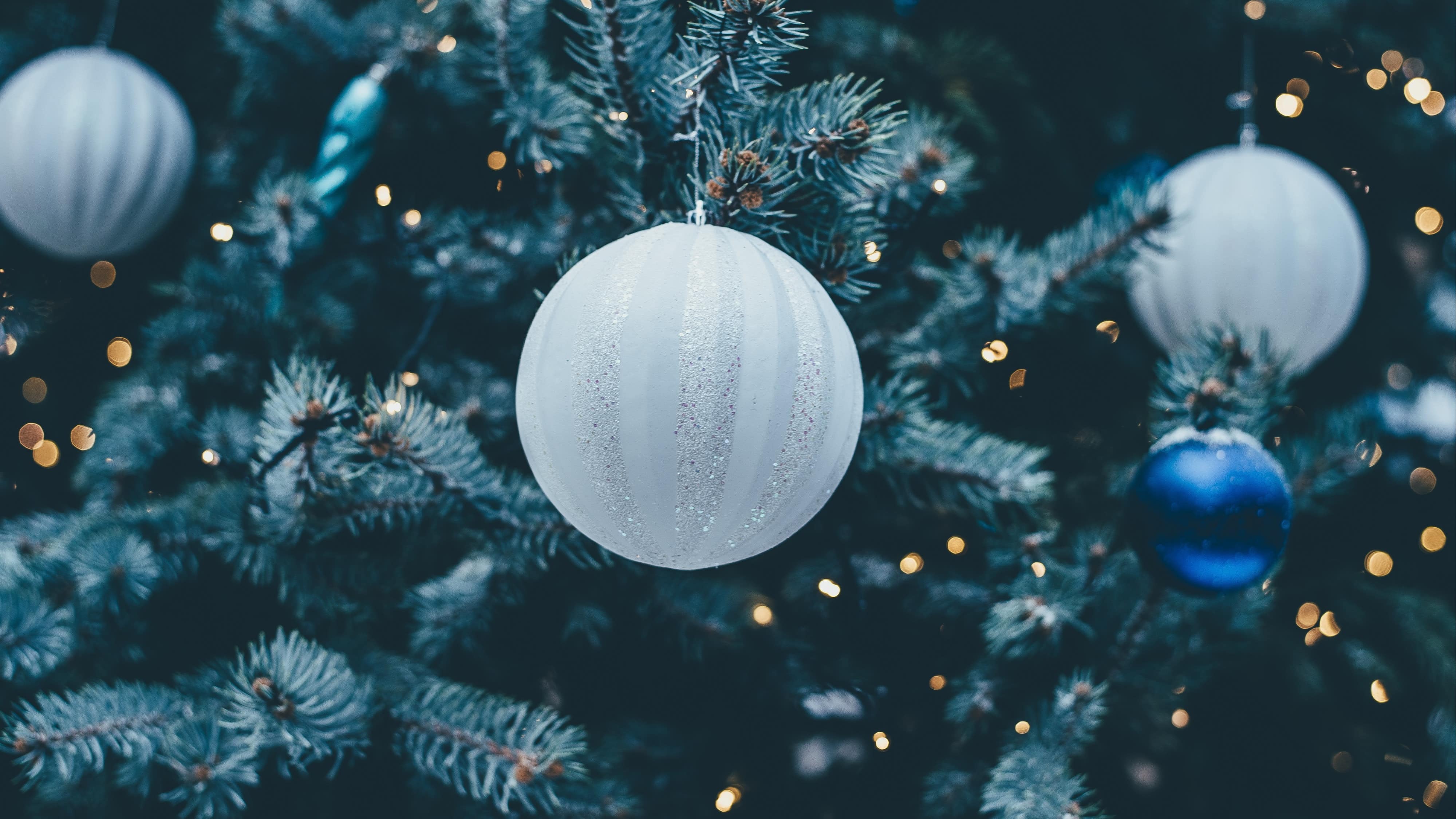 Destinations de choix pour les vacances de Noël