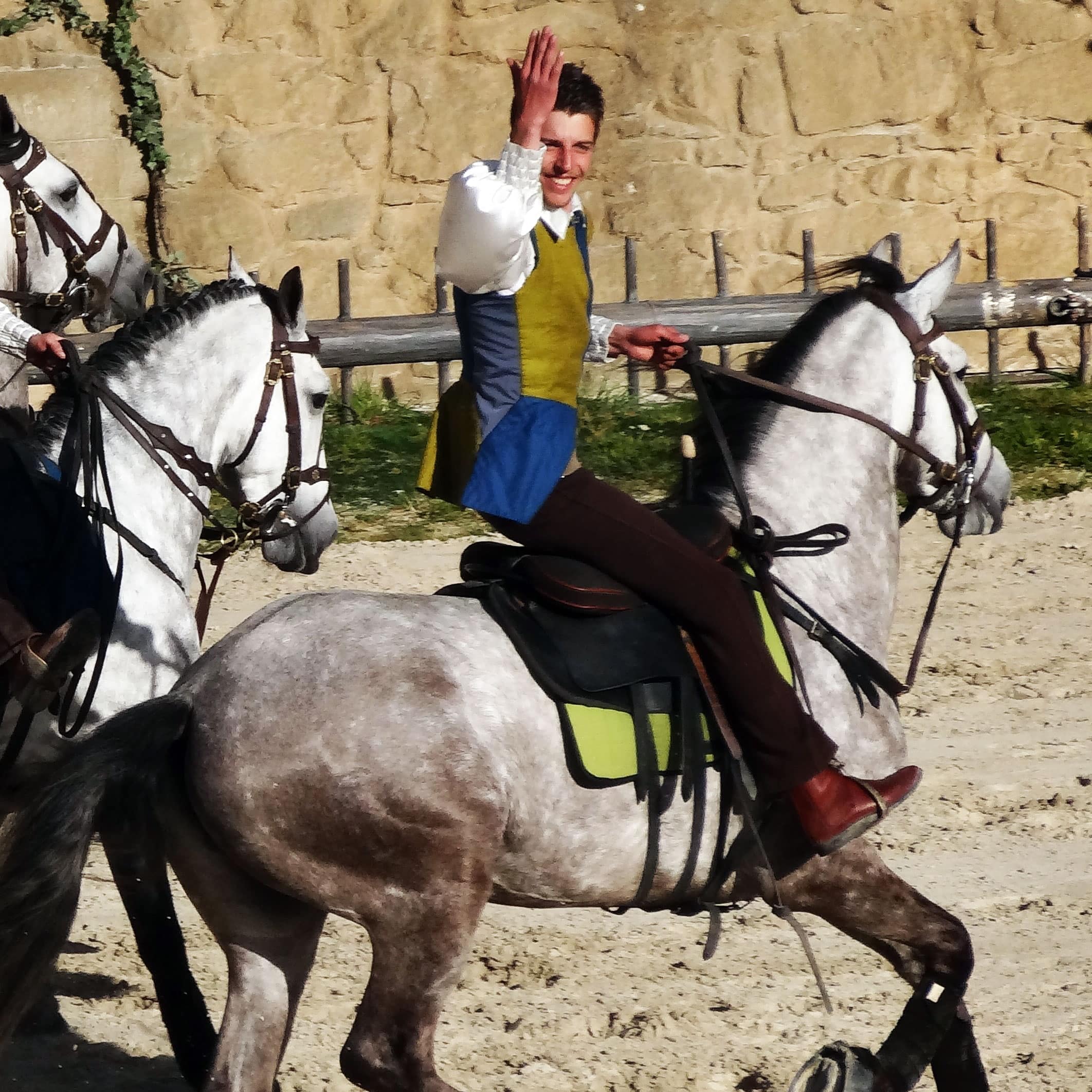 Gîtes en bord de mer : un gîte à proximité de Puy du Fou pour faire un bond dans le passé en famille