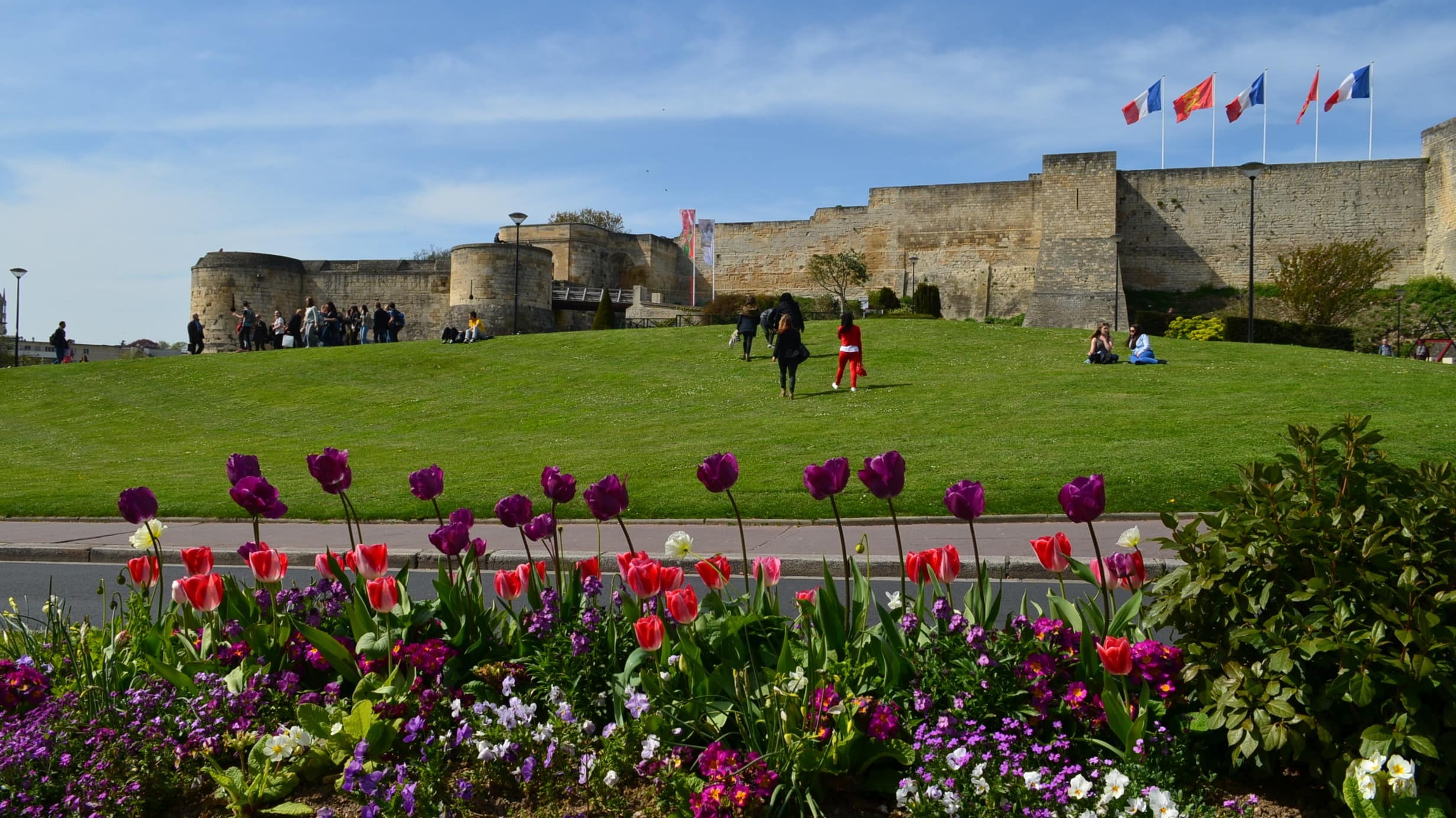 Un parterre de fleurs au premier plan et des personnes sur la pelouse devant le Château ducal de Caen