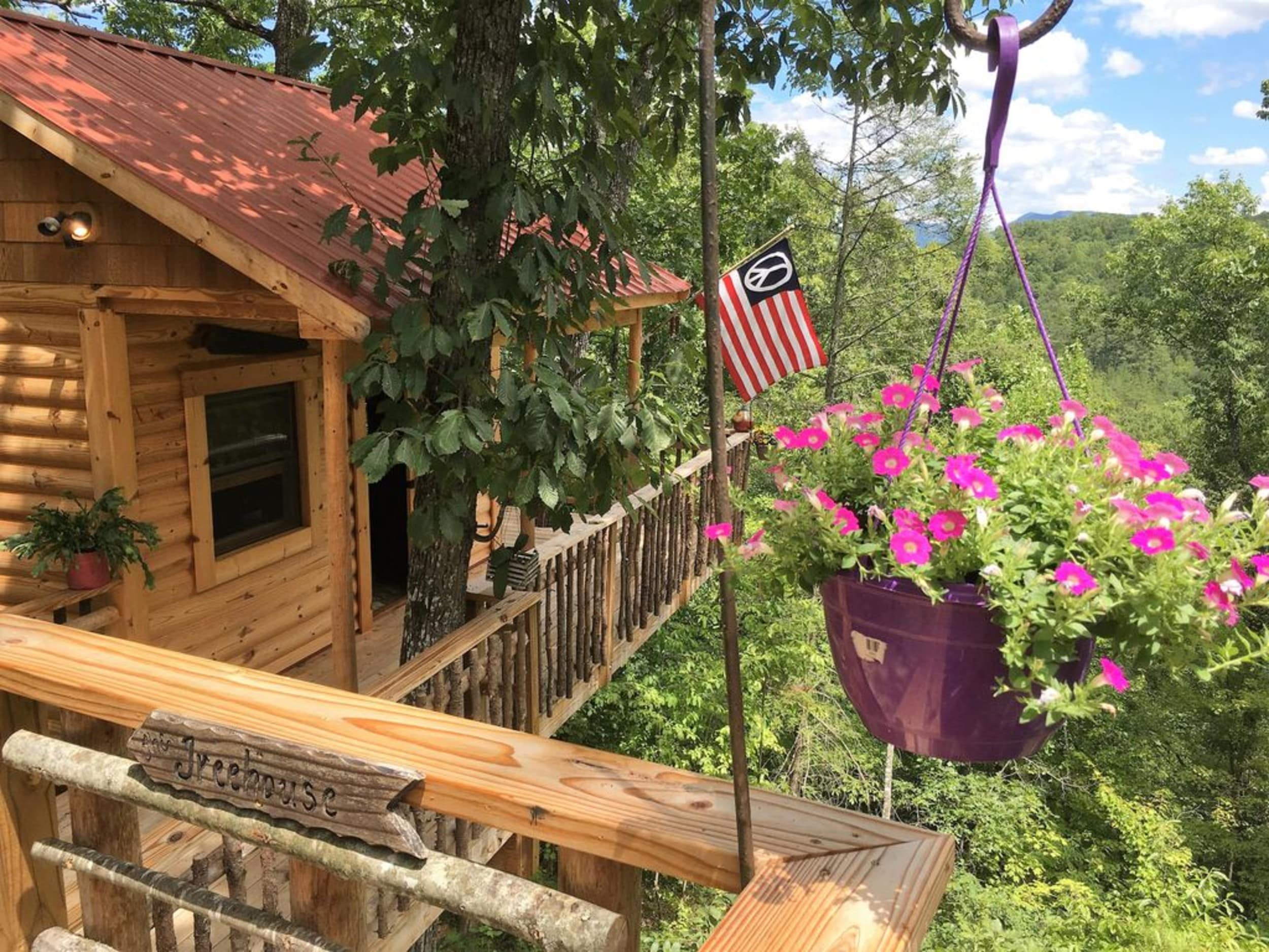 Cabane Bearfoot, cabane dans les arbres