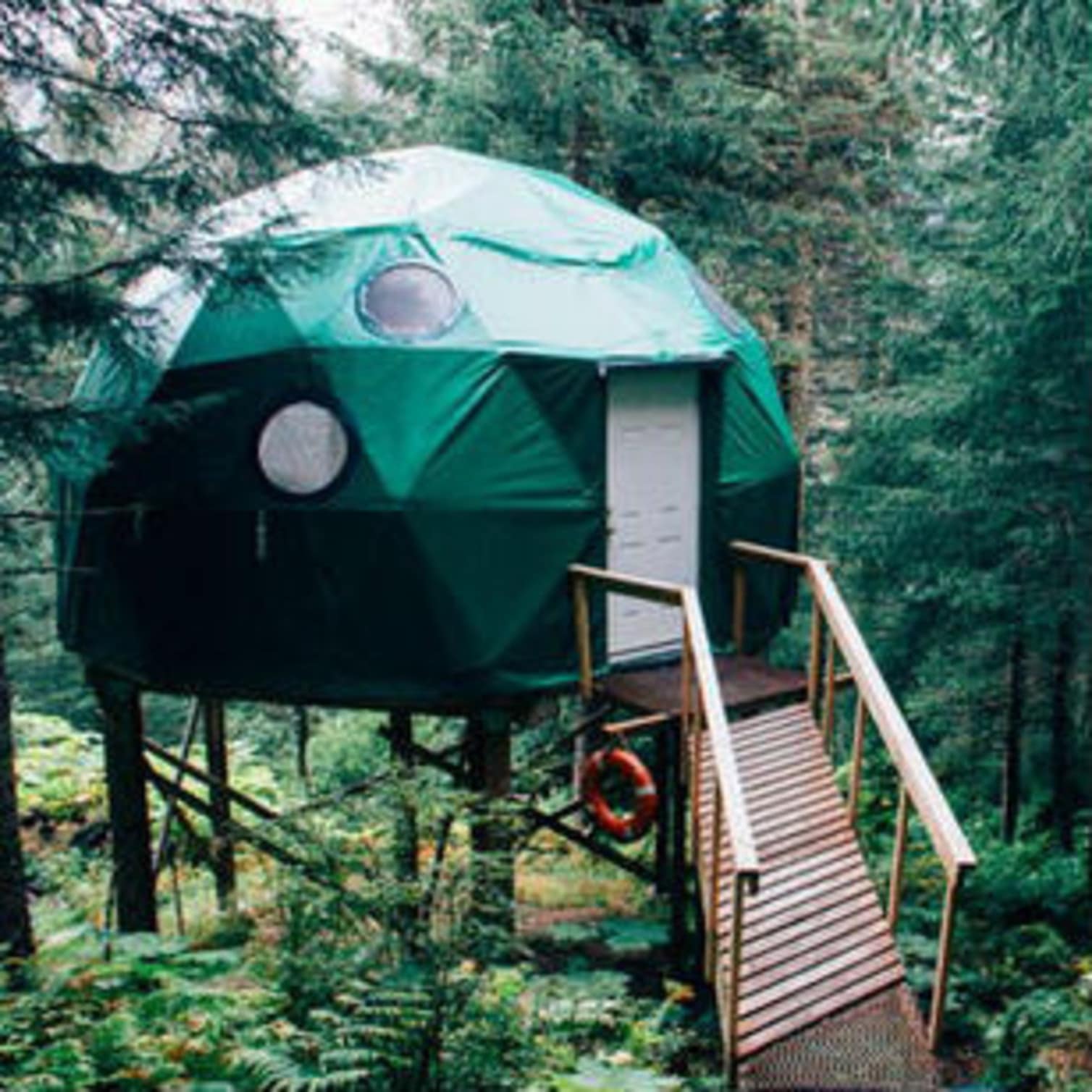 Cabane dôme perchée en plein forêt