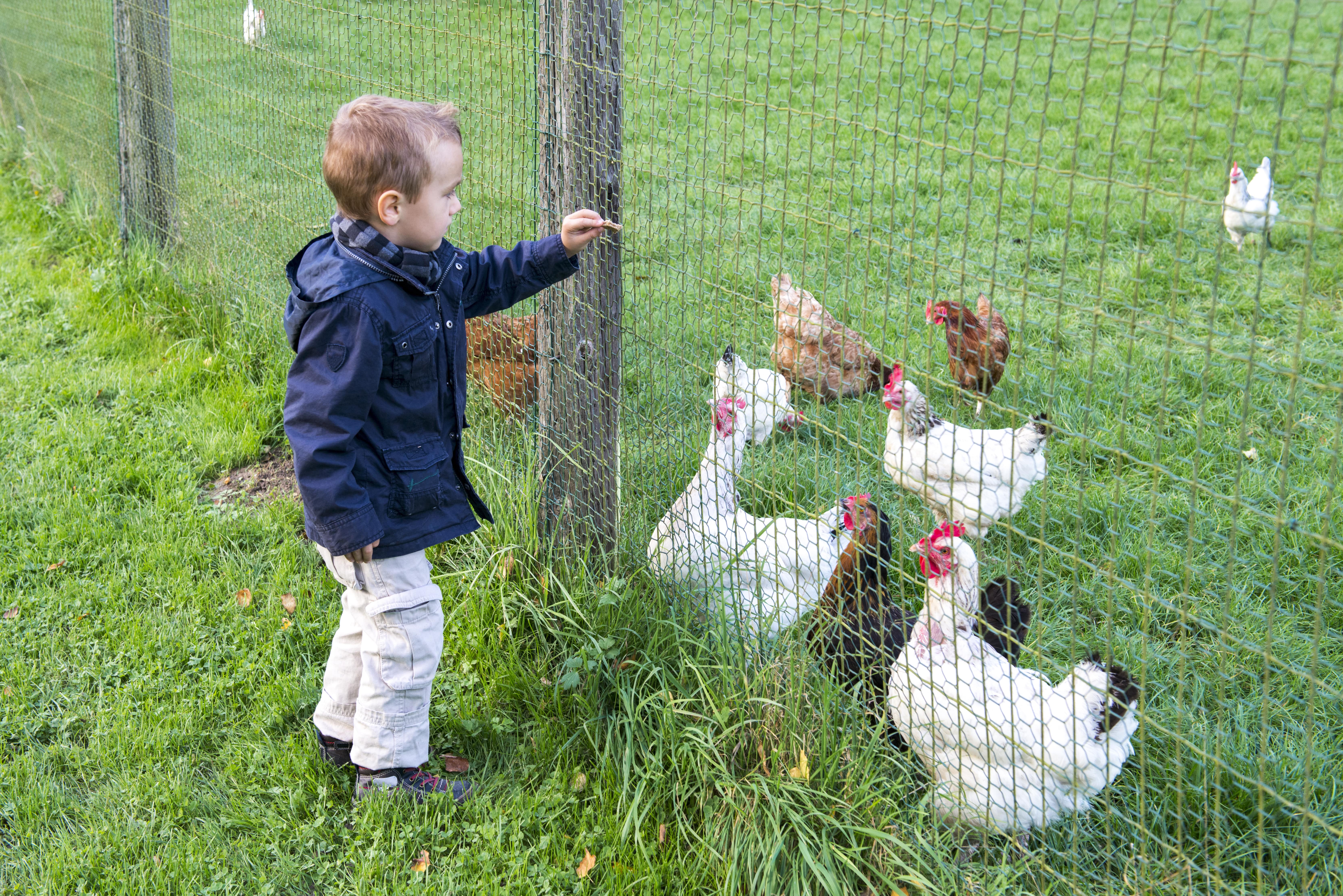 Les Yvelines avec des enfants : 7 idées de sorties