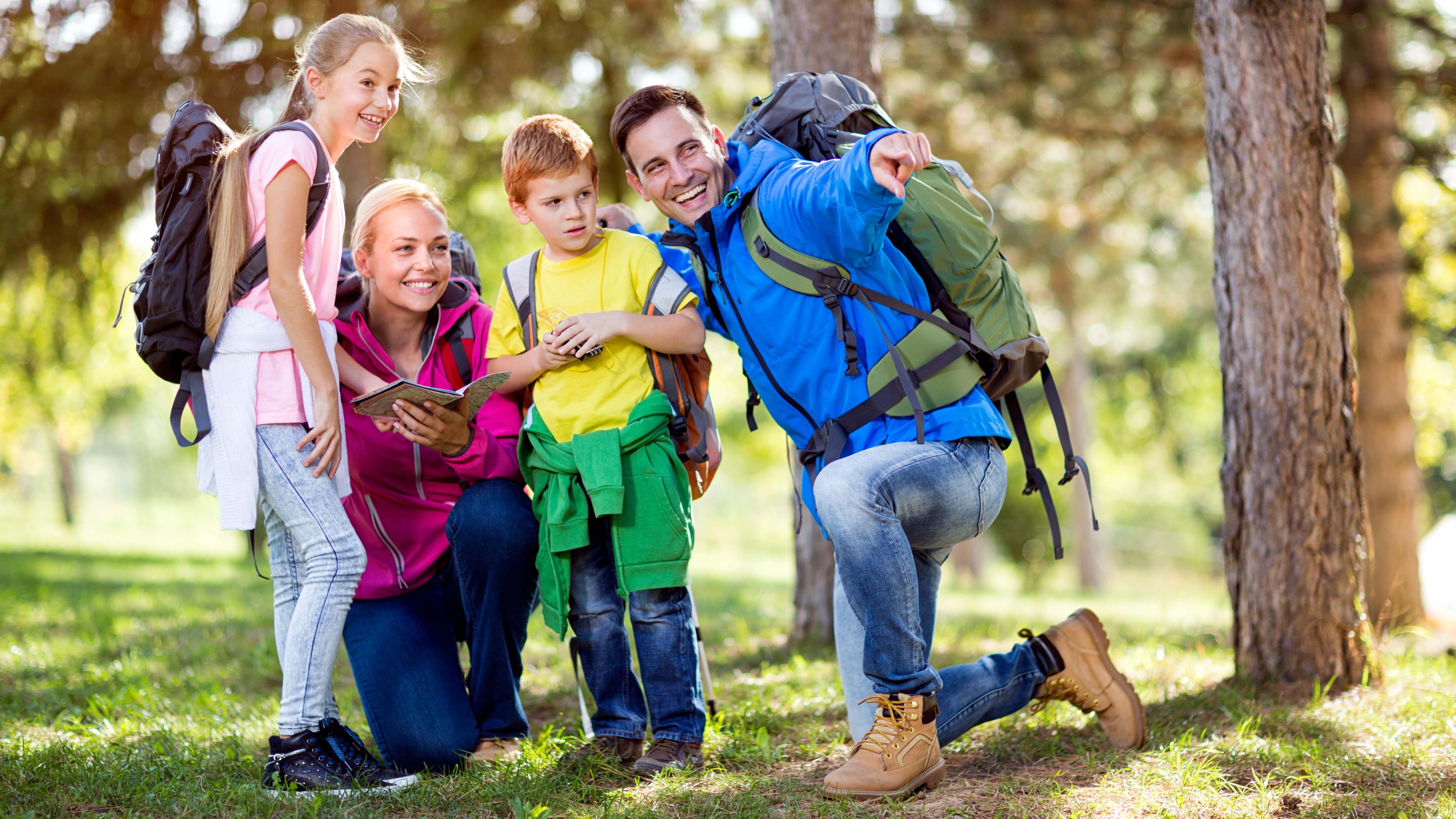Famille qui cherche son chemin en forêt